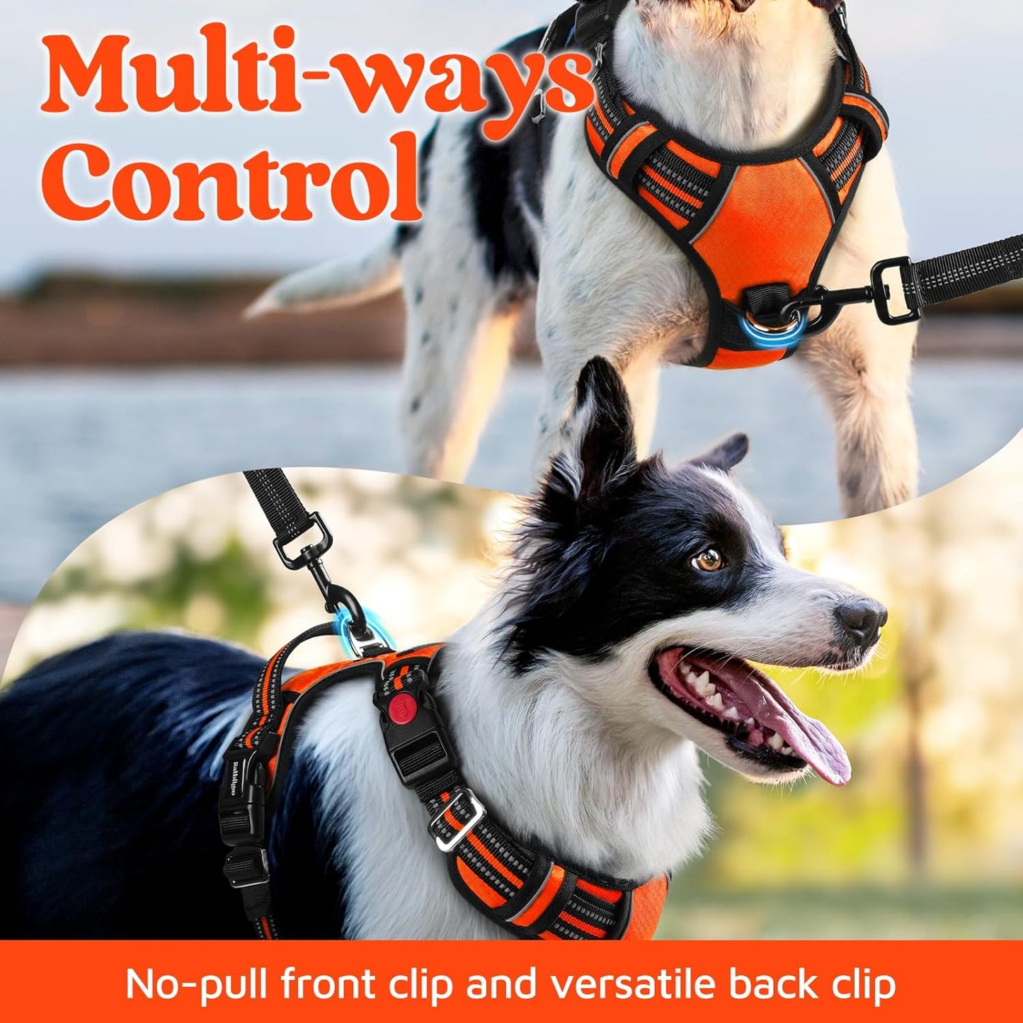 rabbitgoo Dog Harness Medium Sized, No Pull Dog Vest with 3 Buckles, Adjustable Soft Padded Pet Harness with Easy Control Handle and Reflective Strips, Orange, M