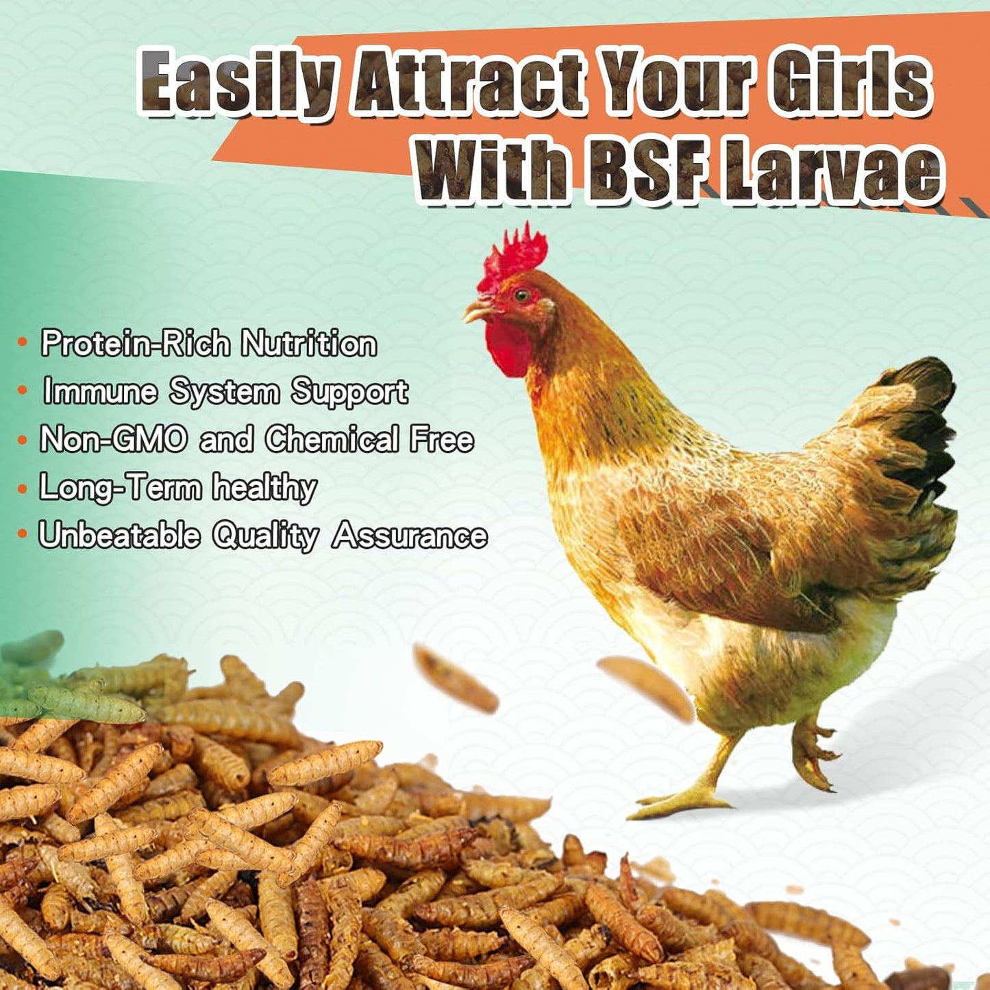 Dried Black Solidier Fly Larvae 11LBS, 85X More Calcium Than Mealworms High-Protein BSF Larvae Chicken Treats Non-GMO BSFL for Chickens, Hens, Ducks, Wild Birds