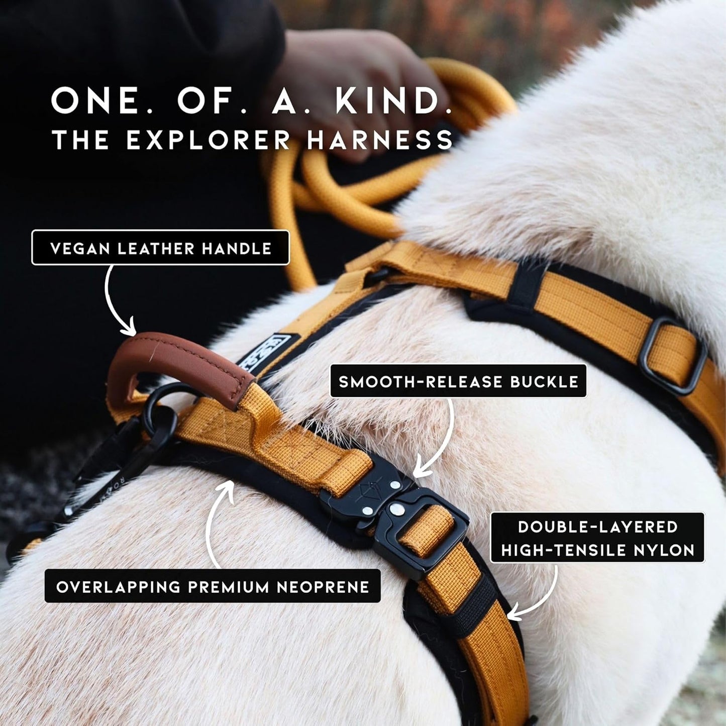 MADE TO ROAM Premium Explorer Harness - Y-Shaped Dog Harness with Adjustable Durable Nylon, Soft Padding, Metal Buckles and Leather Handle for Small, Medium, Large Dogs (Oregon Haze, Size 3)