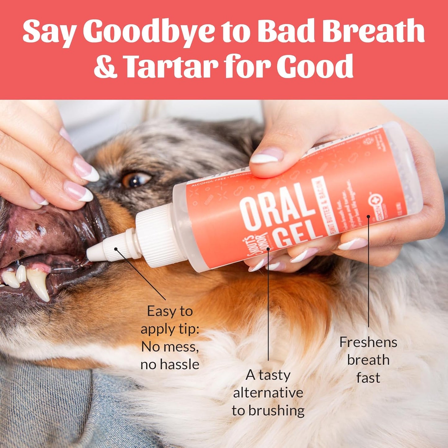 SKOUT'S HONOR Peanut Butter & Bacon Oral Gel - Fights Plaque and Tartar, Freshens Breath Fast, No Brushing Required, 4 oz, 2-Pack