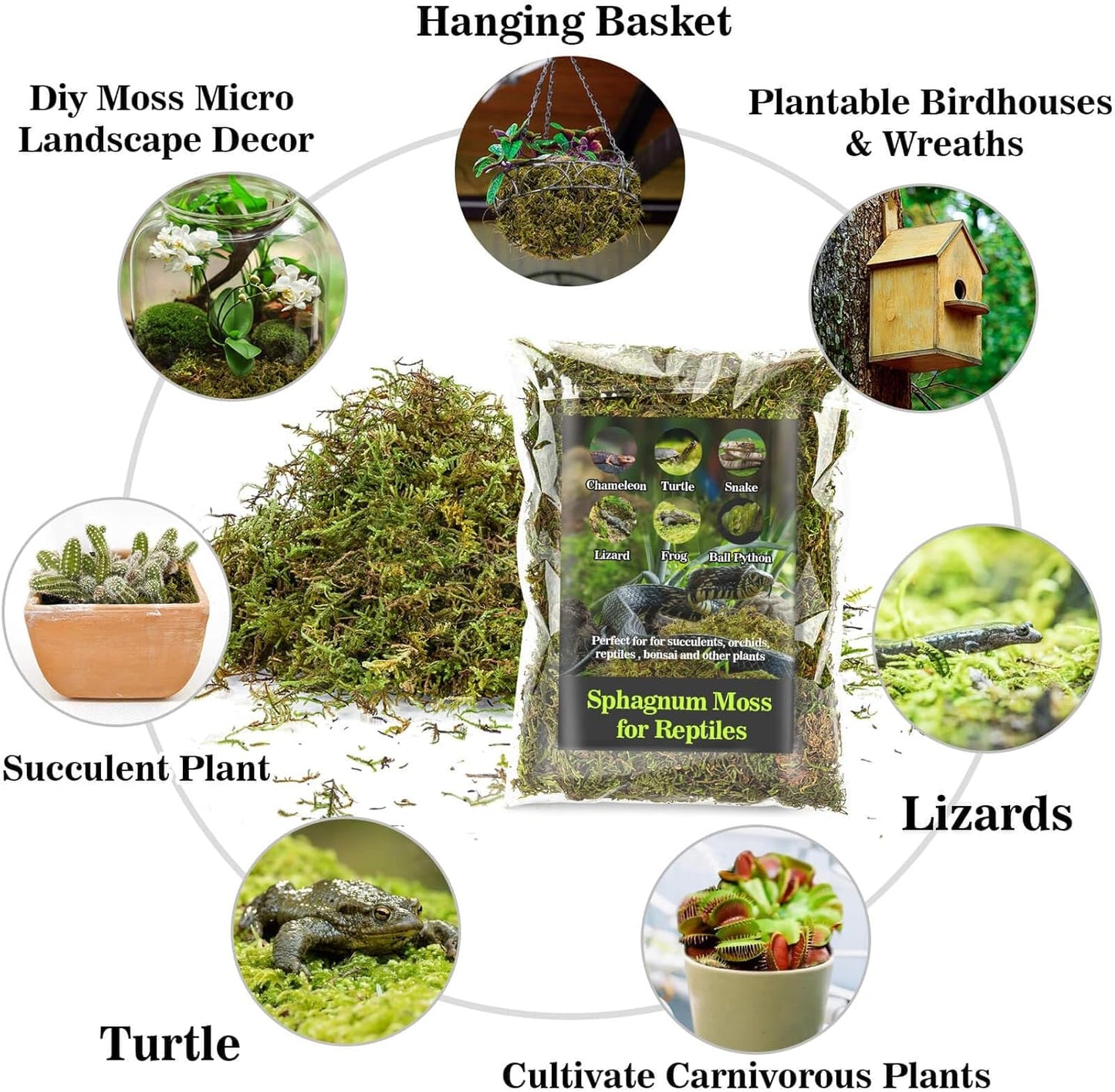 Sukh Sphagnum Moss for Reptiles - Terrarium Reptiles Moss Green Dried Peat Moss Habitat Bedding Moss for Snakes Turtle Frog Gecko and Other Reptiles Substrate (5, Ounces)