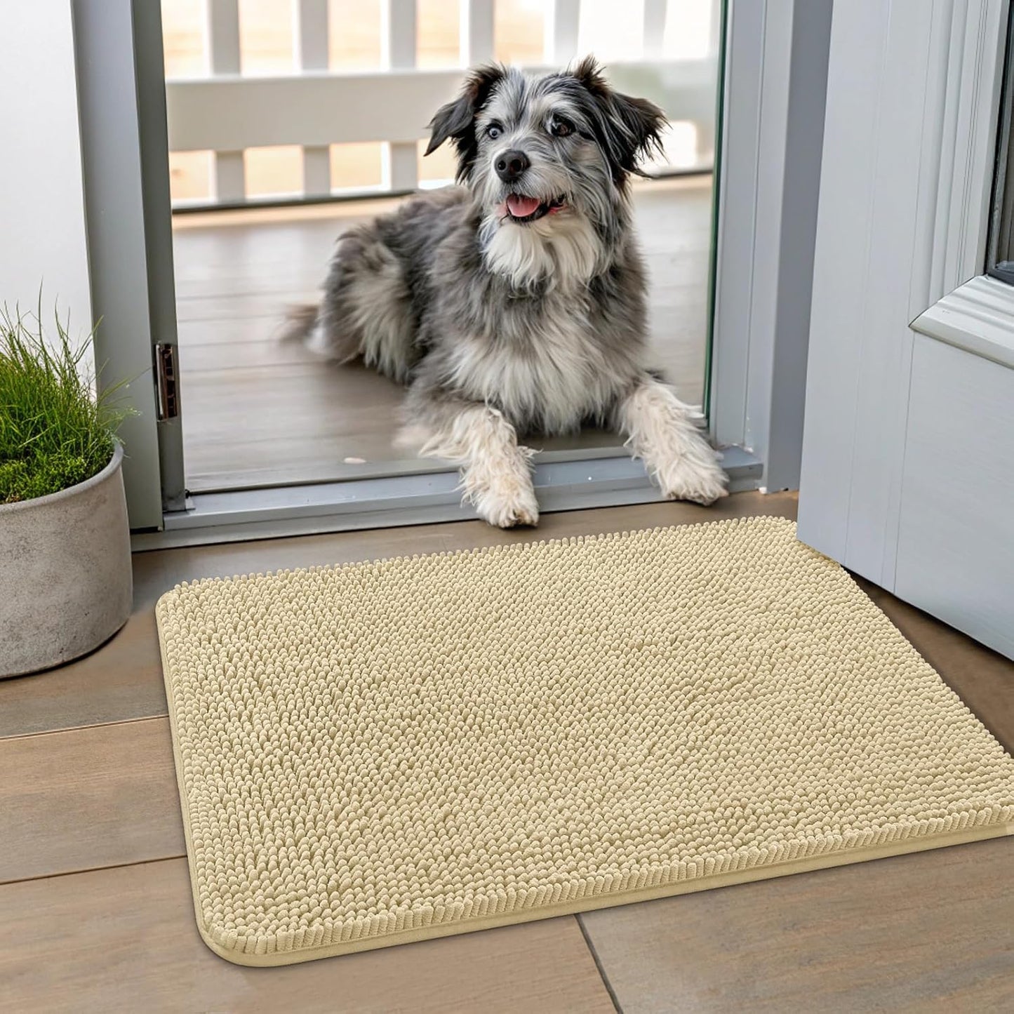 Smiry Dog Door Mat for Muddy Paws 24x16, Absorbs Moisture and Dirt Doormat, Non-Slip Washable Quick Dry Chenille Front Door Mat Indoor Entrance, Entryway Carpet for Inside Floor, Cream White