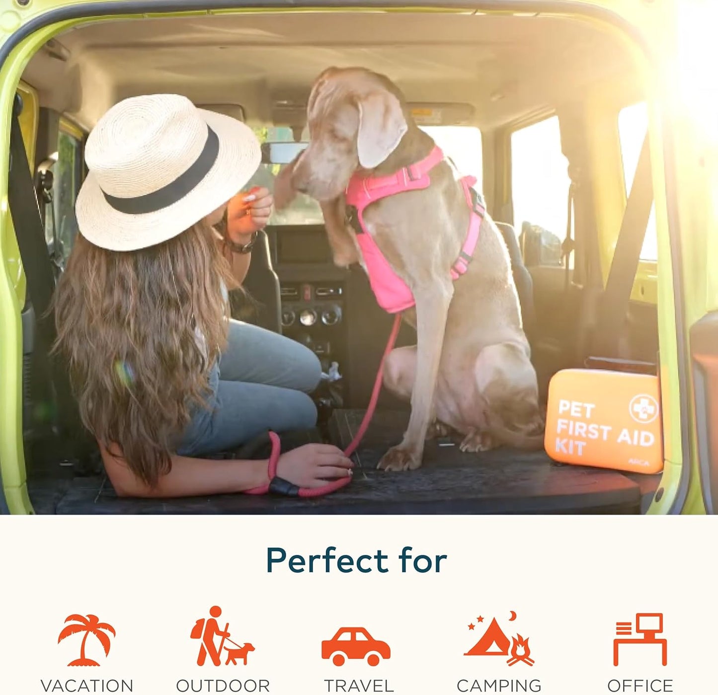 Cat & Dog First Aid Kit for Car - Pet Emergency Kit for Home Office Travel – Dog Camping Essentials with Digital Thermometer, Muzzle & Mini First Aid Pouch