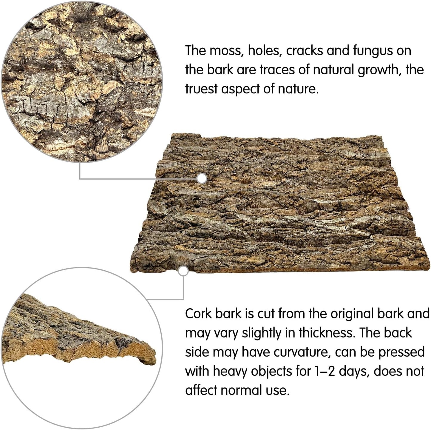 kathson 10PCS Cork Tile Background Bark 7.9”Lx7.9”W Reptile Tank Background Terrarium Backdrop Wall Decor Natural Reptile Climbing Mat for Spider Gecko Lizard Chameleon Bearded Dragon Turtle Snake