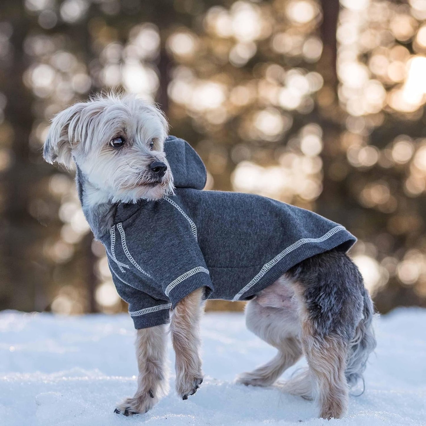 Blueberry Pet Essentials Dog Hoodie – 12 inch, Cotton‑Blend Sweatshirt with Hood, Charcoal Grey, Machine‑Washable Small‑Dog Jersey