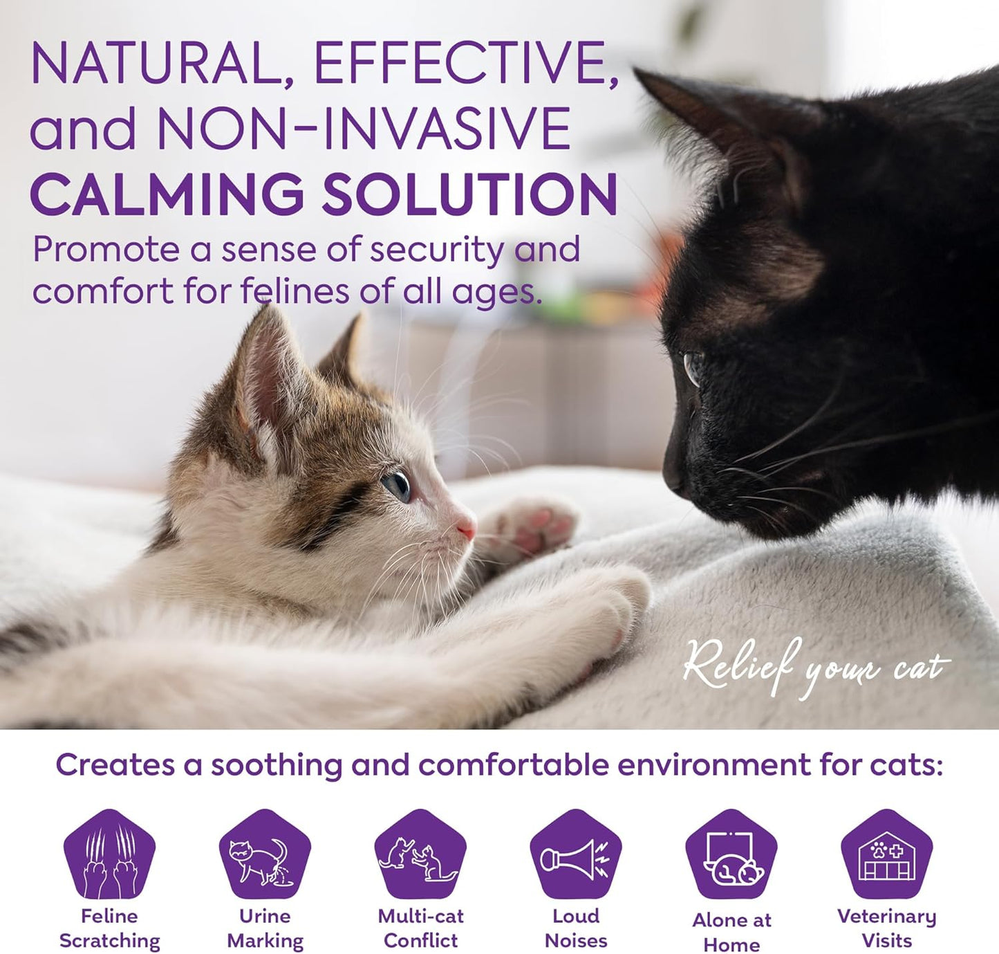 Cat Calming Diffuser Refills: Pheromone Refill for Cats, Long-Lasting 6-Month Supply, Compatible with Most Diffusers, 6 Pack (Purple)