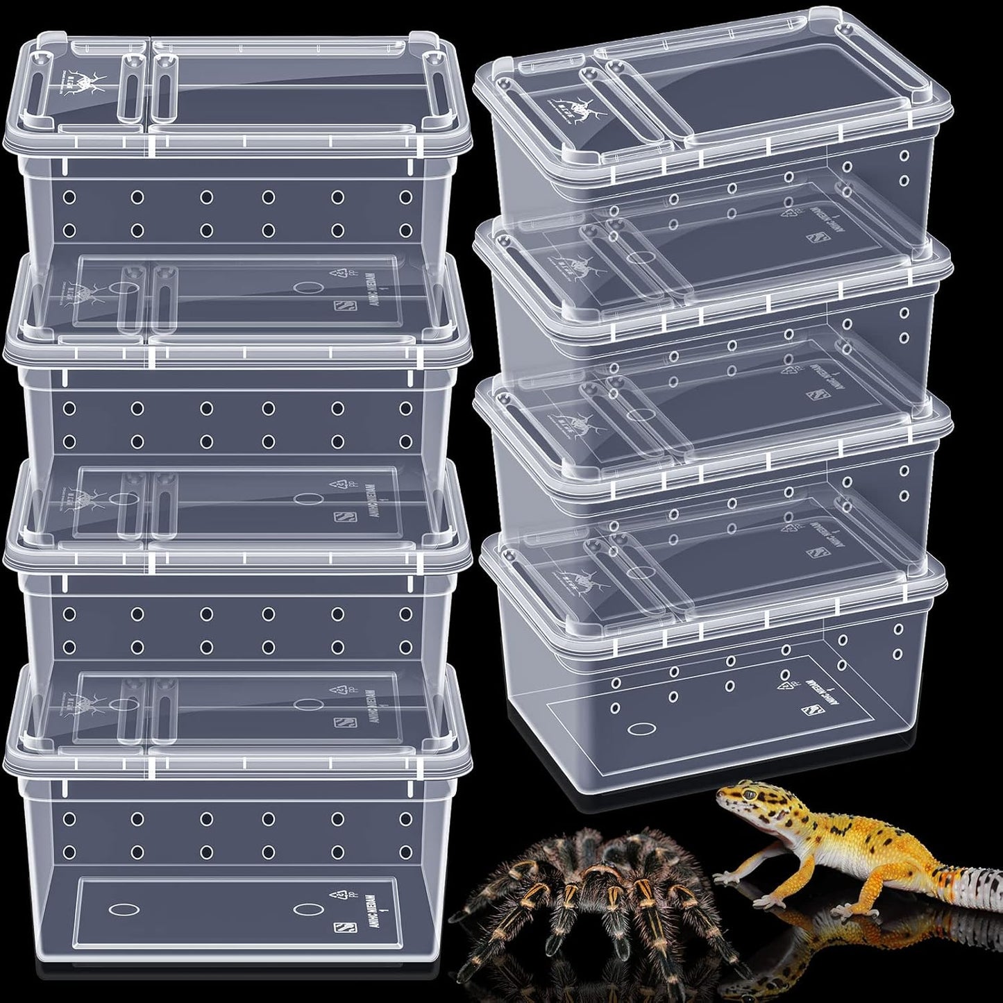 Irenare 8 Pcs Reptile Breeding Breeding Box Plastic Spider Terrarium Tarantula Feeding Box for Bearded Dragon Lizard Spider Gecko Scorpion(Vent Holes,5.9 x 3.9 x 2.5 Inch)