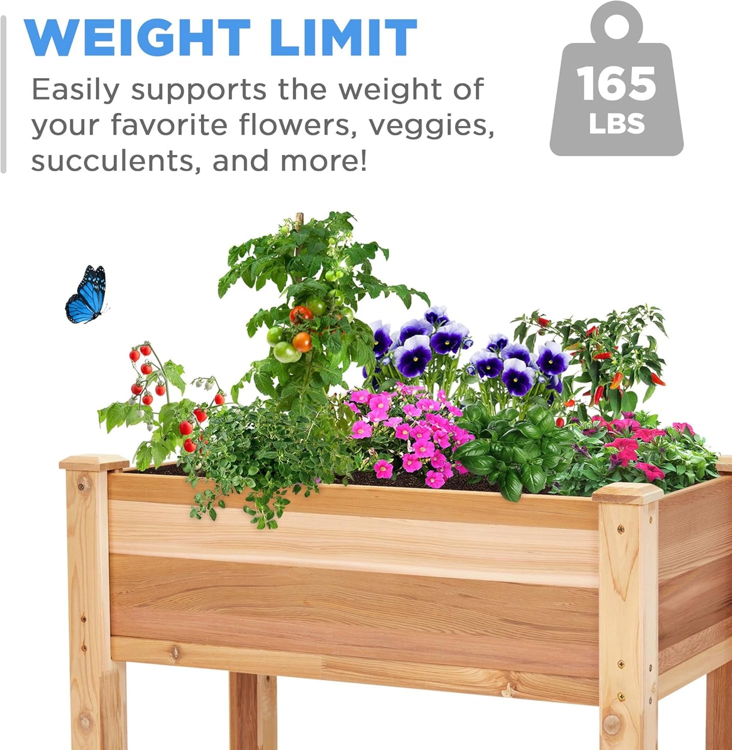 Jumbl Raised Canadian Cedar Garden Bed | Elevated Wood Planter for Growing Fresh Herbs, Vegetables, Flowers, Succulents | 34x18x30”