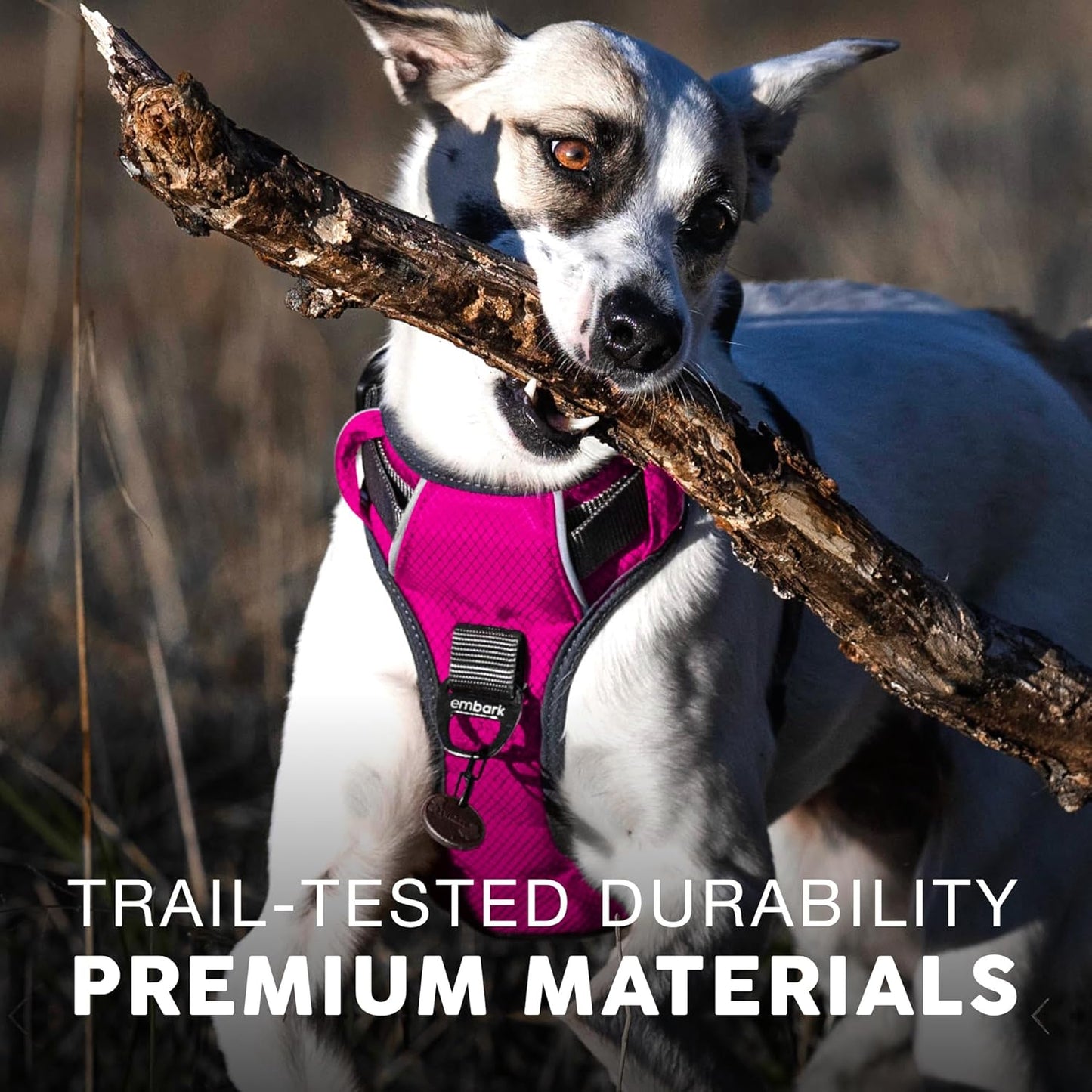Embark Adventure Dog Harness, Reflective Trim XL Dog Harness for Extra Large Dogs No Pull - Military Grade Nylon, 2 Leash Clips & Gel Lined Handle.