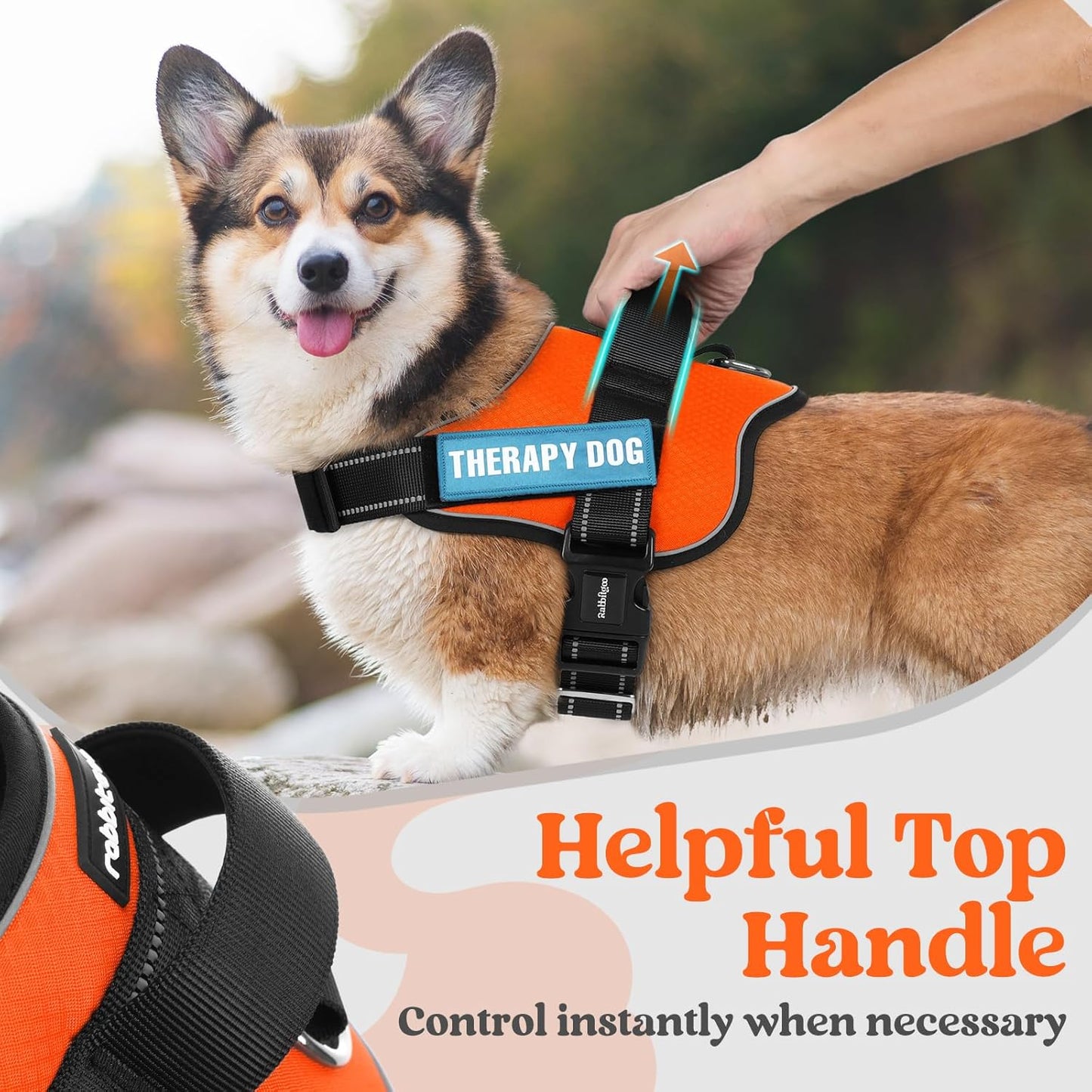 rabbitgoo Dog Harness for Large, Easy On Pet Vest with One Buckle, No Pull Adjustable Service Harness with D-Ring & Handle, Reflective for Safety Walking, Training, Orange, XL