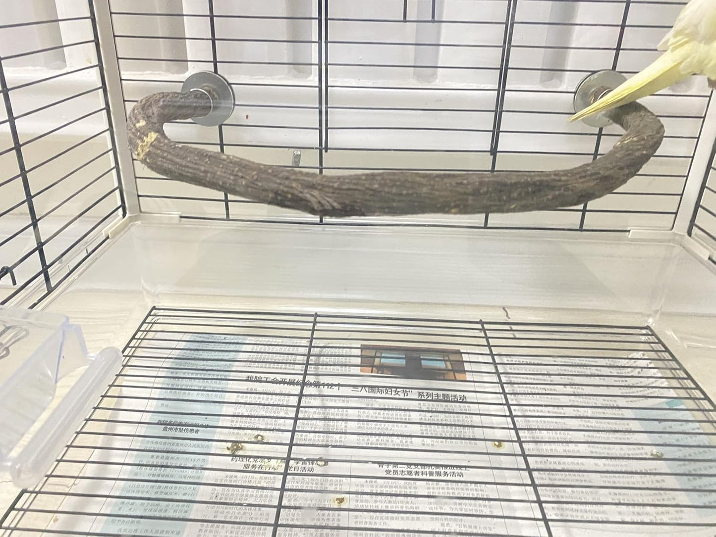 Parrot Perch Stand Bird Cage Stand Pole Natural Wild Grape Stick Grinding Paw Cage Accessories for Parakeet Cockatiels Budgies Conure Lovebirds Platform (U-Shaped)