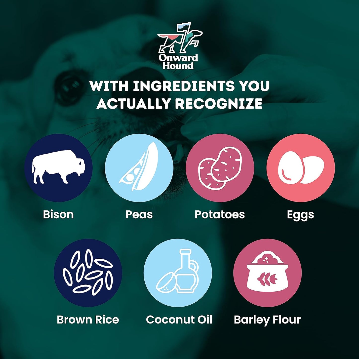 Onward Hound Training Treats for Dogs - Soft Bison - Low Calorie Dog Training Treats for Sensitive Stomachs with Single Source Premium Protein, Corn Free, & Soy Free Formula - 4 oz