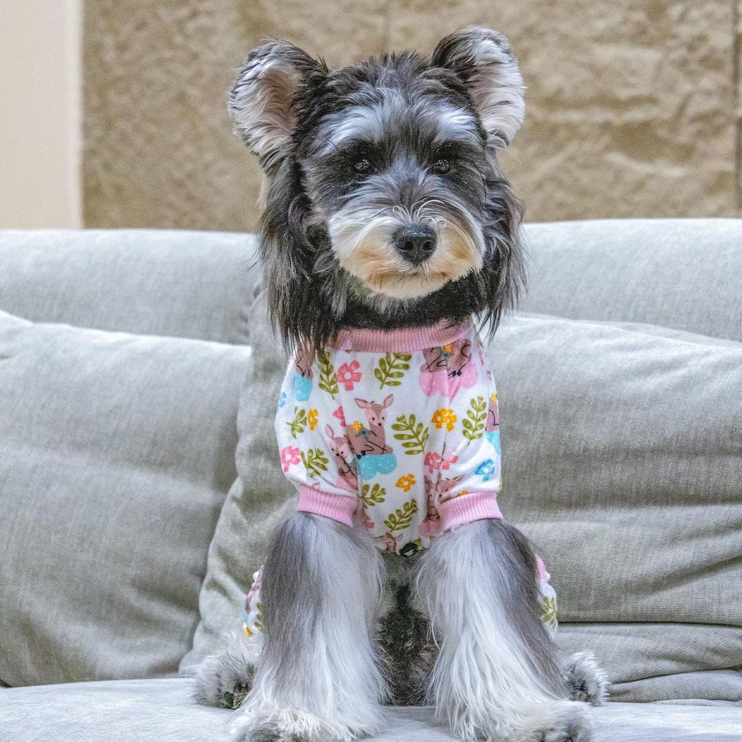 CuteBone Small Dogs Outfit Soft Puppy Onesies Pjs Dog Pajamas Pet Coat Cat Apparel Comfy Doggie Jumpsuit Bodysuit for All Seasons P286M