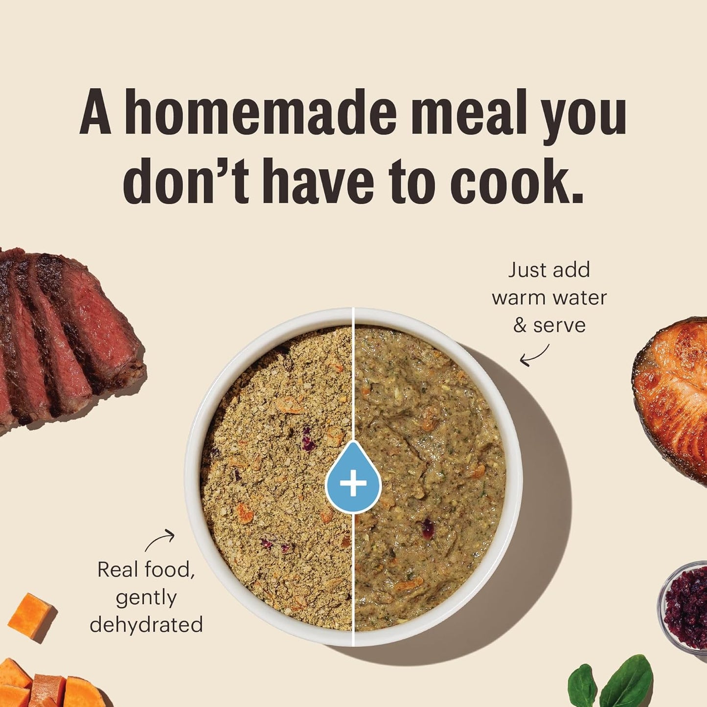 The Honest Kitchen Dehydrated Limited Ingredient Beef Dog Food, 4 lb Box