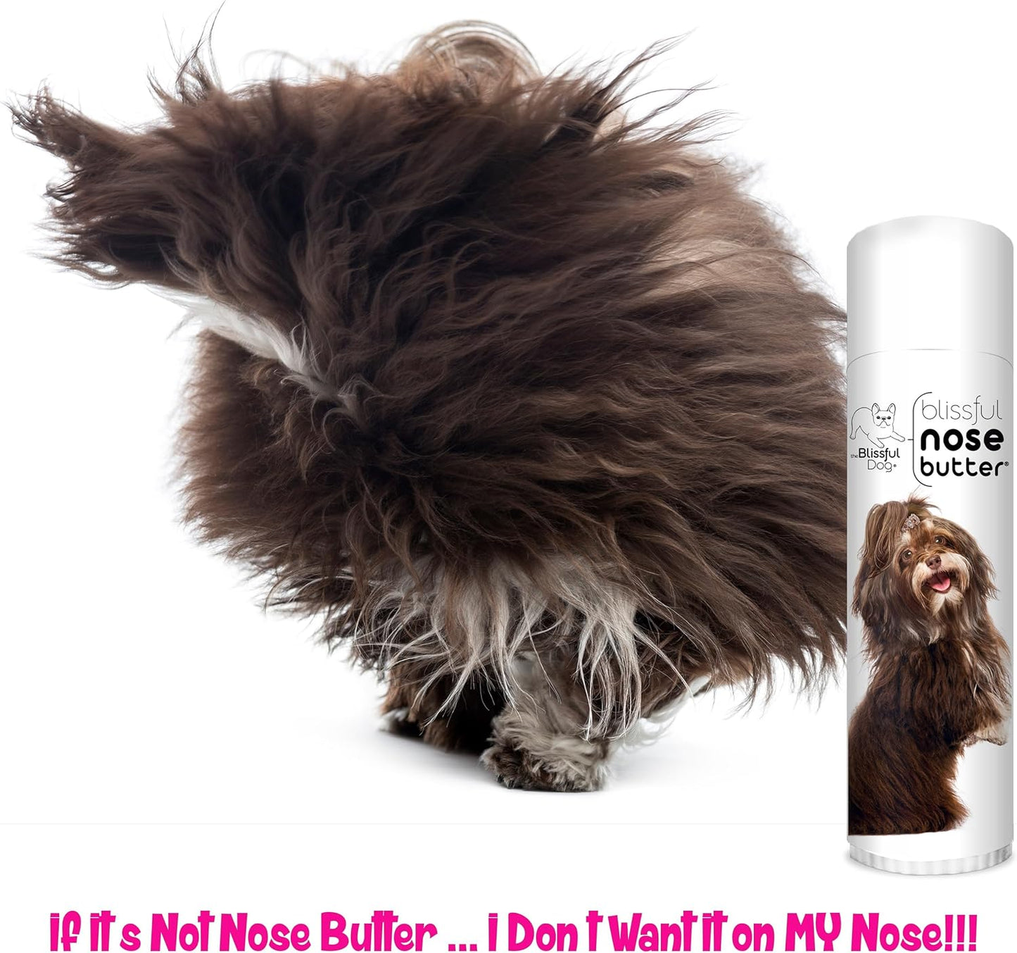 The Blissful Dog Havanese Nose Butter for Dry, Cracked Skin, Lick-Safe Dog Nose Balm with Moisturizing Shea Butter, Almond, Olive, and Essential Oils, Pet Supplies, Uncented, 0.50 oz.
