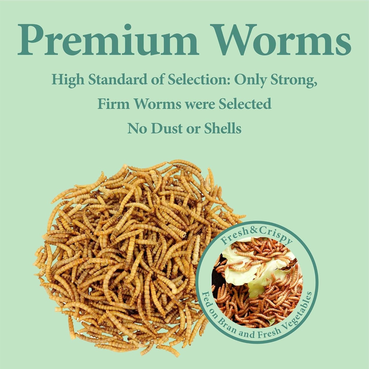 2LB Dried Mealworms for Poultry, Wild Birds,Tasty Bird Food