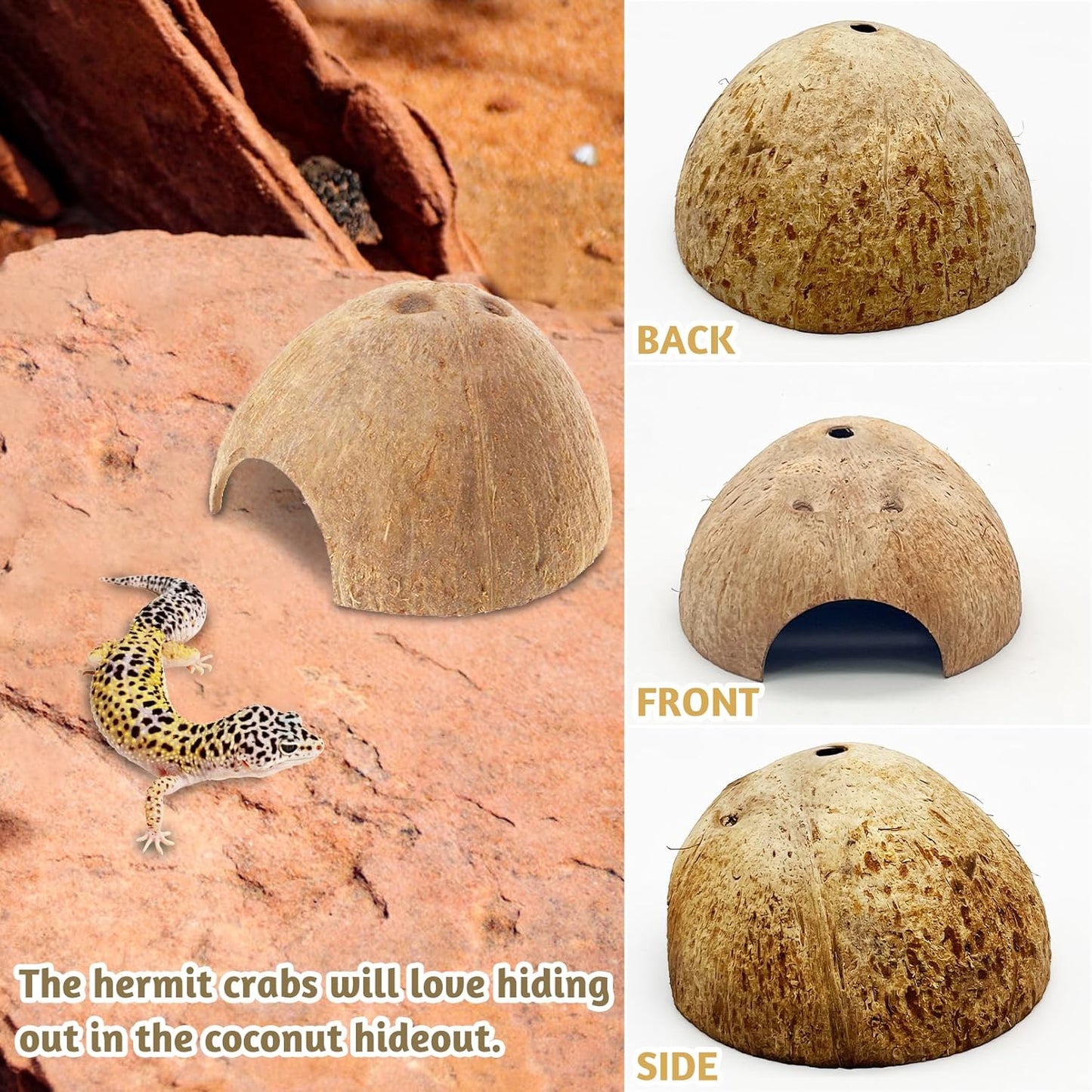 PINVNBY 4 PCS Natural Coconut Reptile Hideouts Lizard Coco Hut Hermit Crab Hut Aquarium Fish Hide Cave Spider Snail Climber Toys