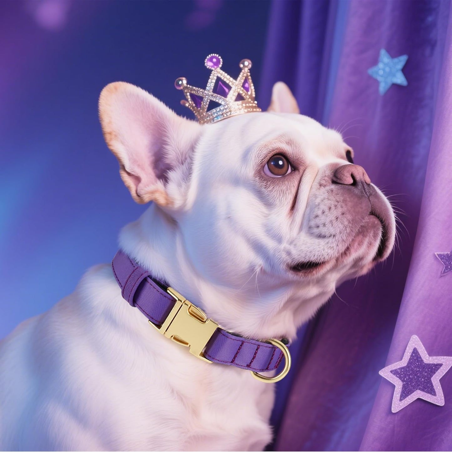 Didog Soft Padded Dog Collar for Large Dogs, Colorful and Durable Pet Collar with Quick Release Buckle, Light and Breathable for Daily Walking, Purple, L