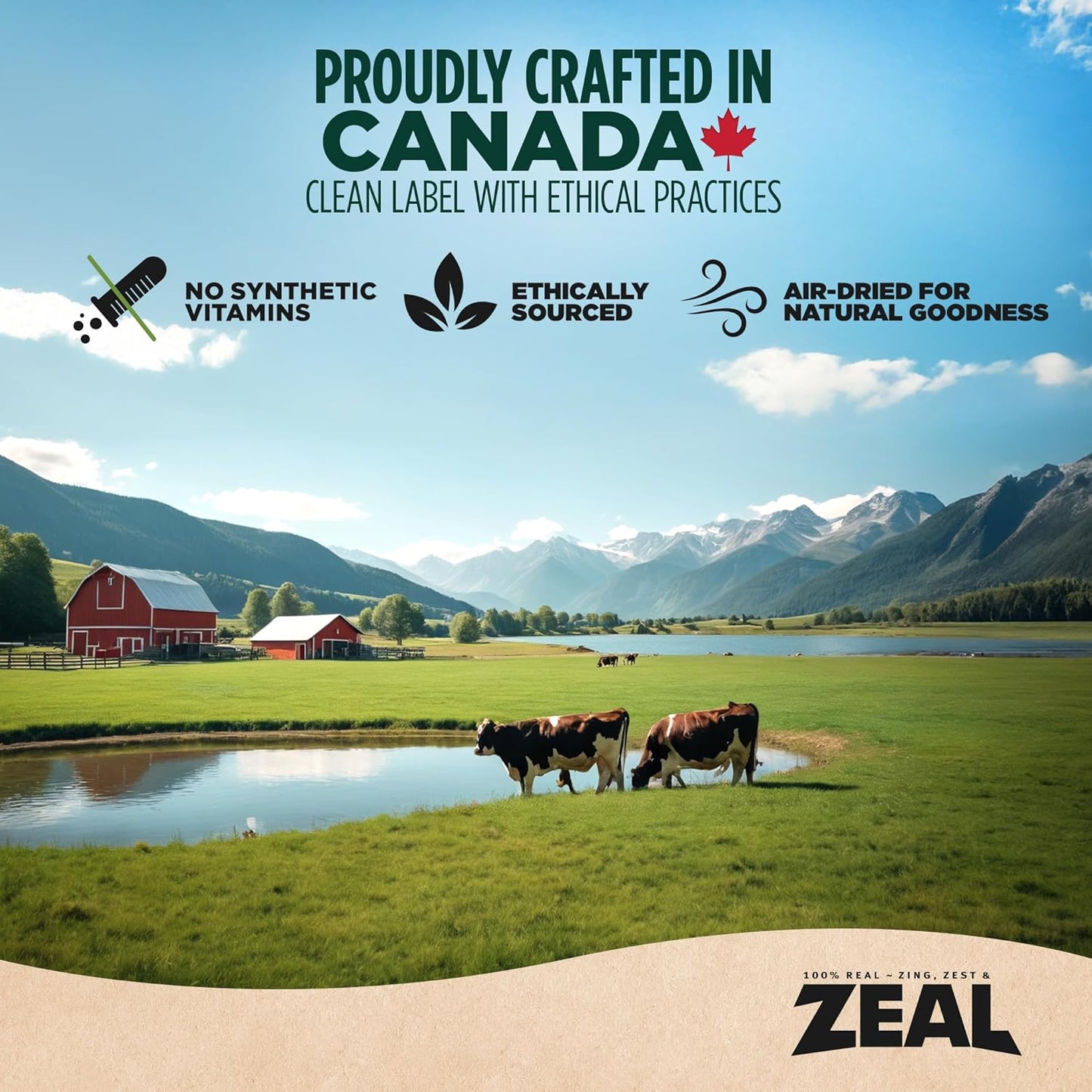 ZEAL Canada Air-Dried Chicken Recipe for Dogs - High Protein, Natural Superfoods, Nutrient Rich, No Fillers, Grain Free, Complete & Balanced (Chicken, 1 lb)