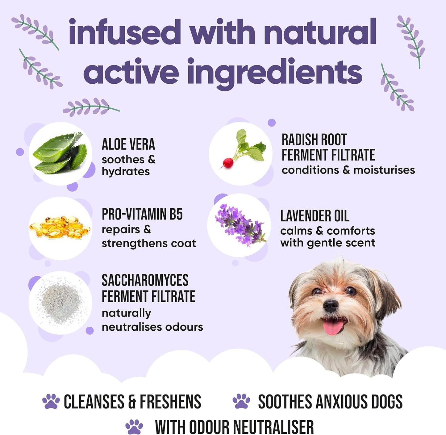 Calming & Deodorising Dog Shampoo by Buddycare | Lavender Scented | Itchy Skin Relief for Smelly Dogs | Deep Cleansing Shampoo for Dogs Puppy Sensitive Skin | with Aloe & Vitamin B5 (16.90oz)