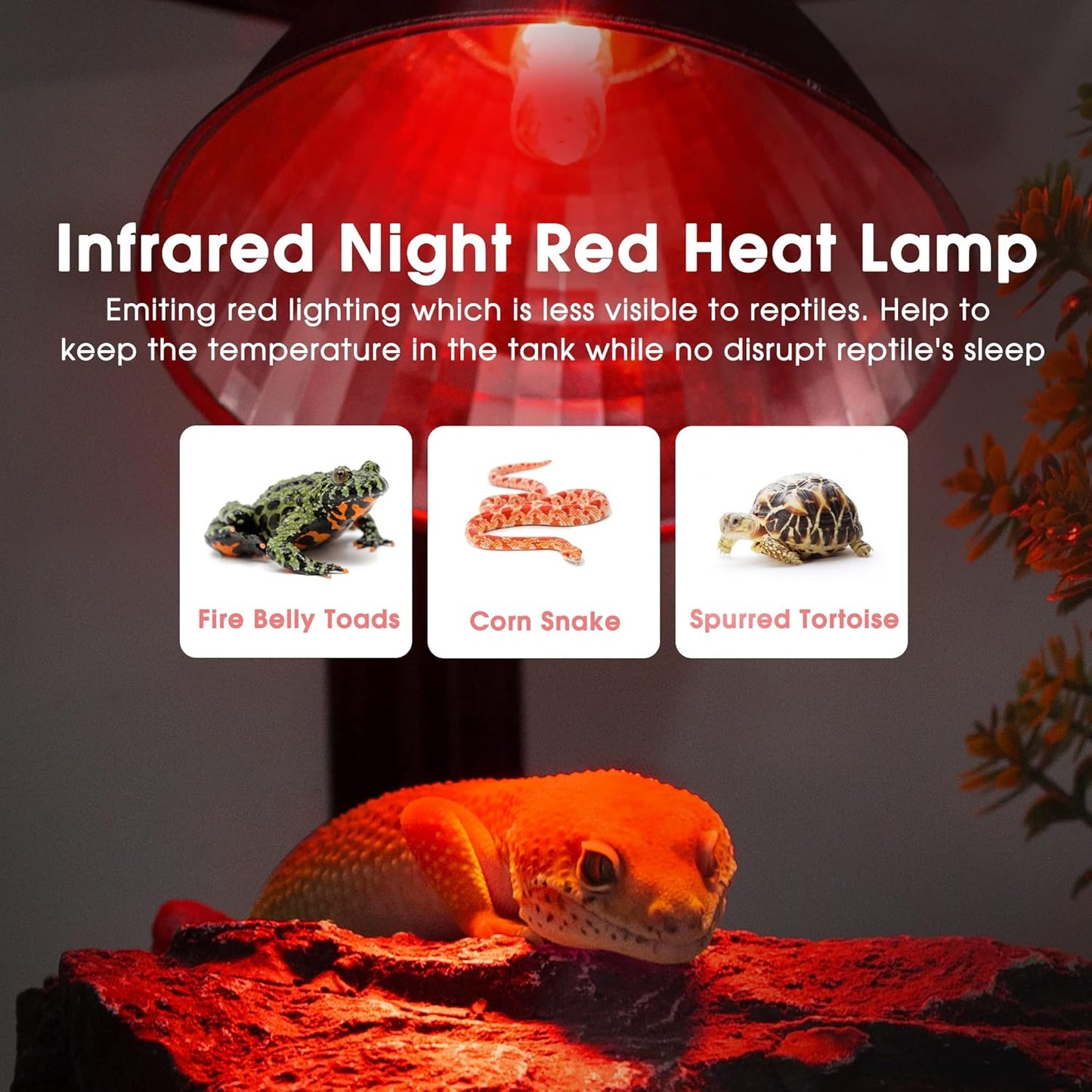 Briignite G9 Infrared Heat Lamp Bulbs for Reptile, Mini Reptile Light, Dimmable Night Red UVA Reptile Heat Lamp, 2 Pin Base Mini Heat Bulbs 50W, Bearded Dragon Turtle Lizard, 2Pack