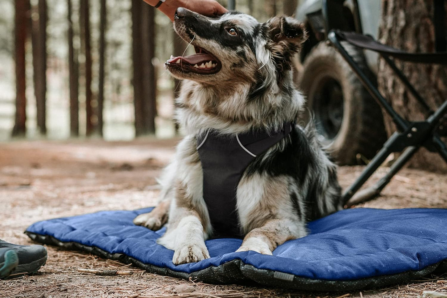 K9 Ballistics Tough Ripstop Dog Crate Pad - Durable & Machine Washable with Non-Skid Bottom and 120-Day Warranty, Fits 42" Wire Crates - Large, Light Gray Velvet