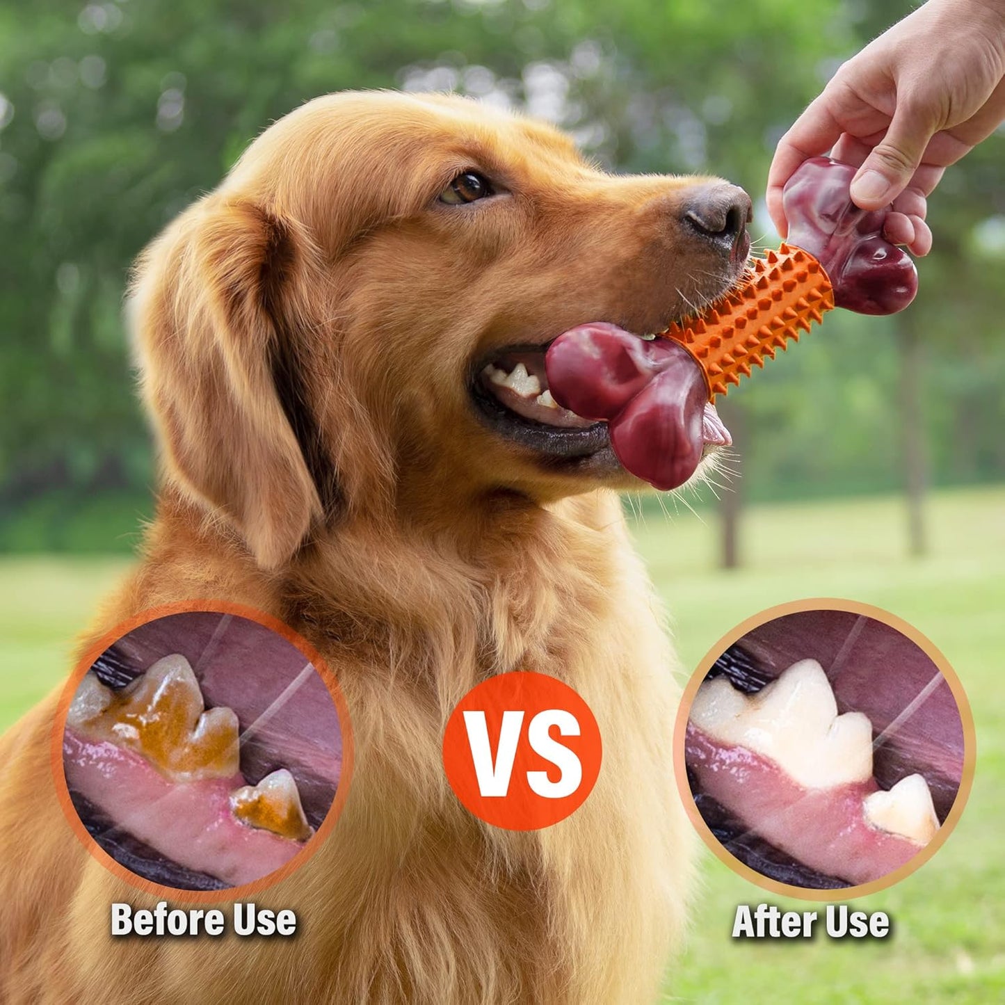 Apasiri Dog Toys for Aggressive Chewers Large Breed 2-Pack: Heavy Duty Chew Toys for Medium Dogs Indestructible Orange Dog Gift with Peanut Butter Flavor