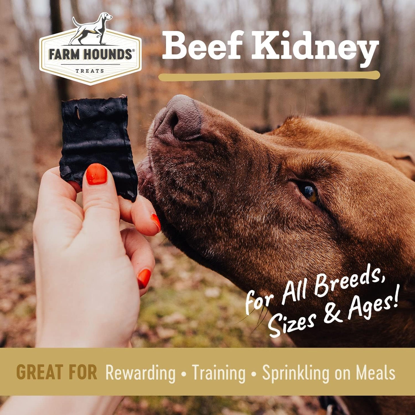 Farm Hounds - Beef Kidney - Premium Natural Beef Kidney Jerky For Dogs - Made From 100% Humanely Raised Cattle - Organ Treat - Great For Training & Treats - No Added Fillers - Made in USA -4oz -1 Pack