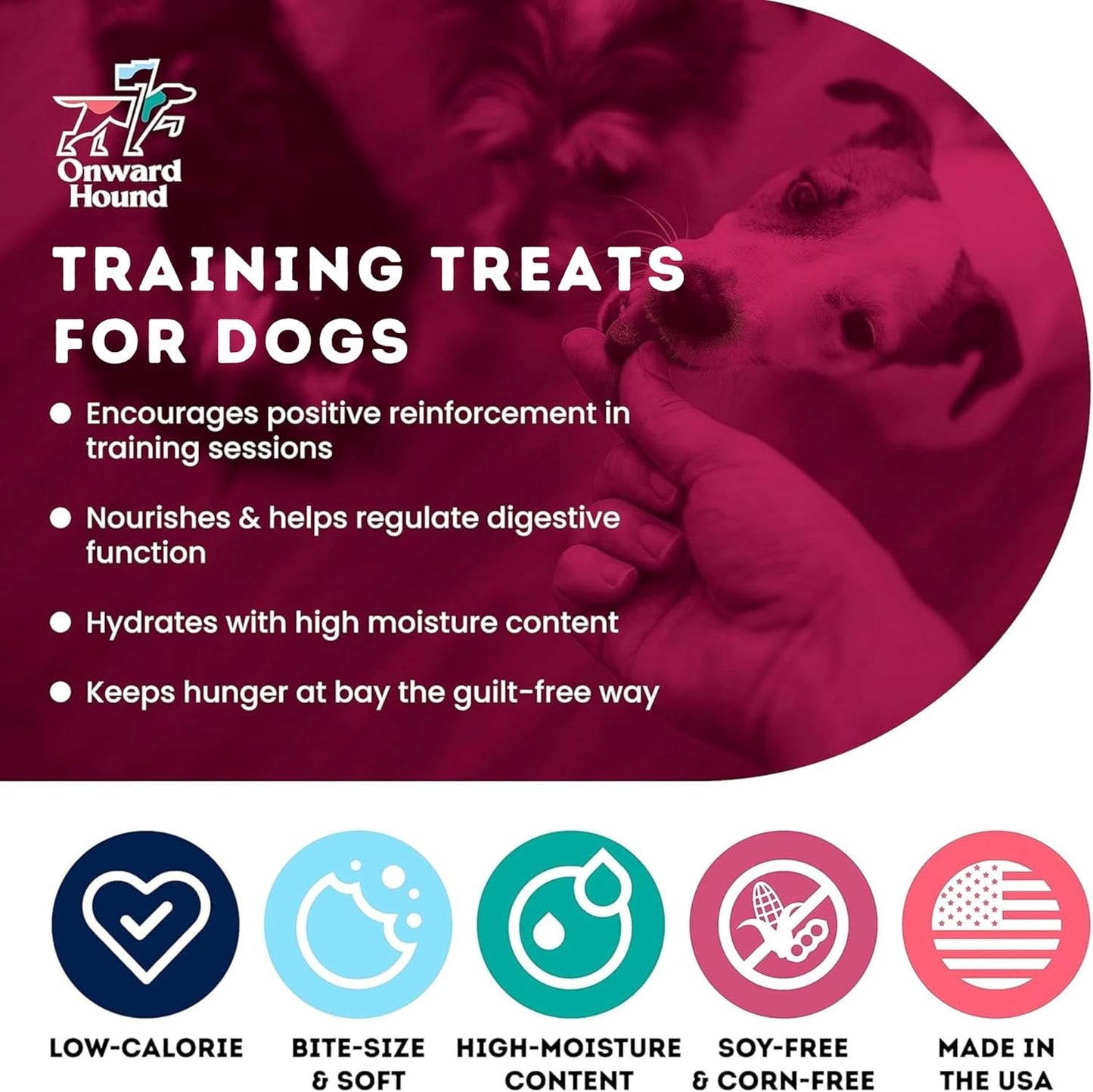 Onward Hound Training Treats for Dogs - Soft Bison - Low Calorie Dog Training Treats for Sensitive Stomachs with Single Source Premium Protein, Corn Free, & Soy Free Formula - 10 oz