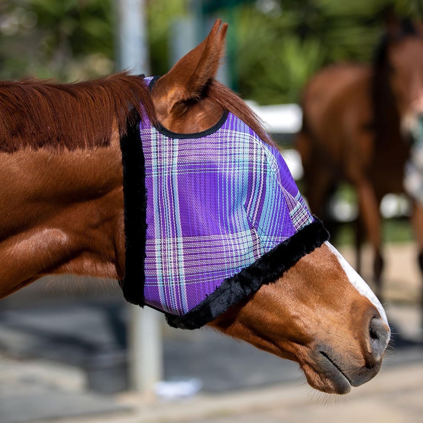 Kensington Fly Mask with Fleece Trim for Horses — Protects Face and Eyes from Flies and Sun Rays While Allowing Full Visibility — Breathable and Non Heat Transferring, Large, Lavender Mint