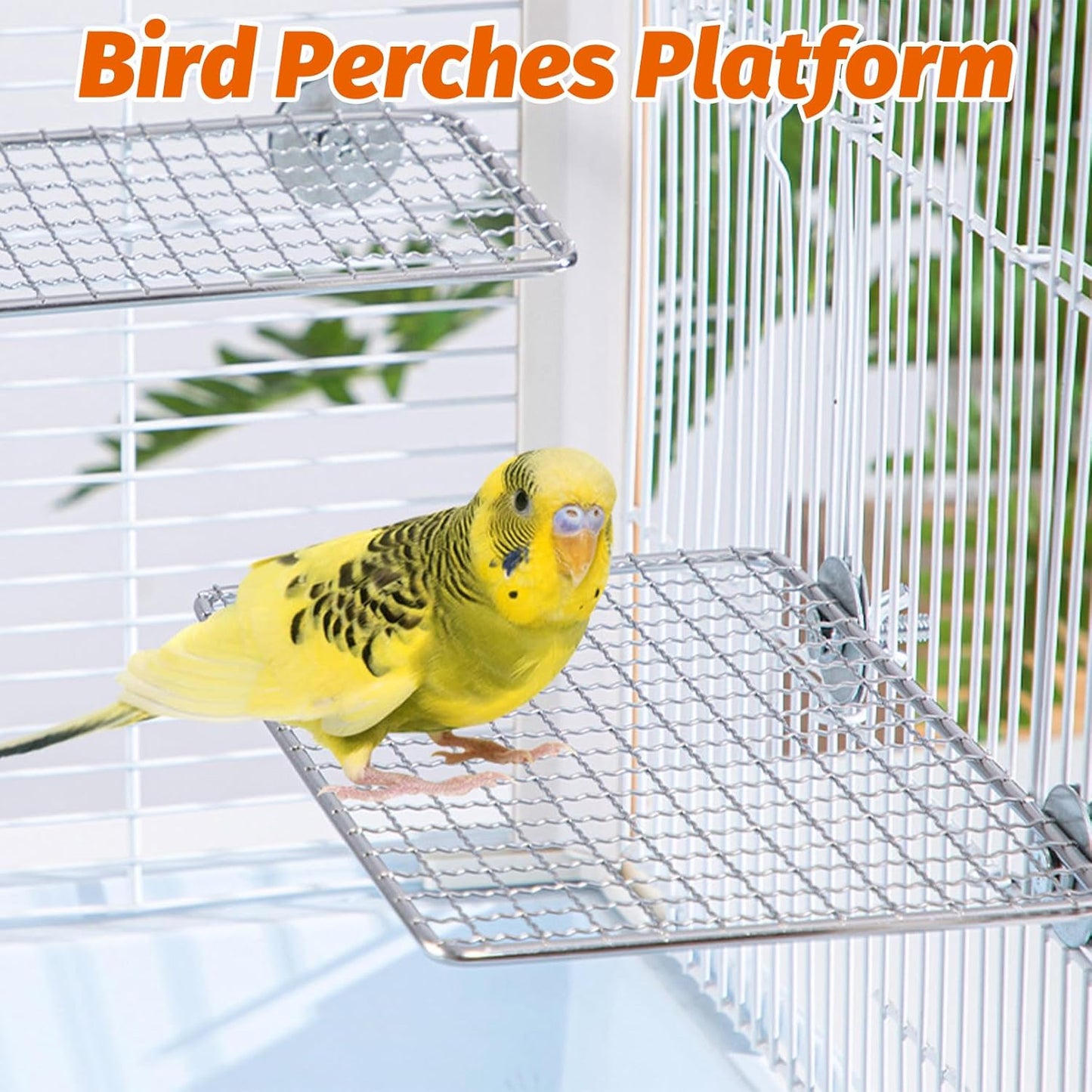 BNOSDM 2 Pack Bird Perch Platform 11x7in Stainless Steel Birds Perches Parrot Shelf Training Stand Small Animals Cage Accessories for Parakeets, Budgies, Conures, Cockatiels, Lovebirds (XL)