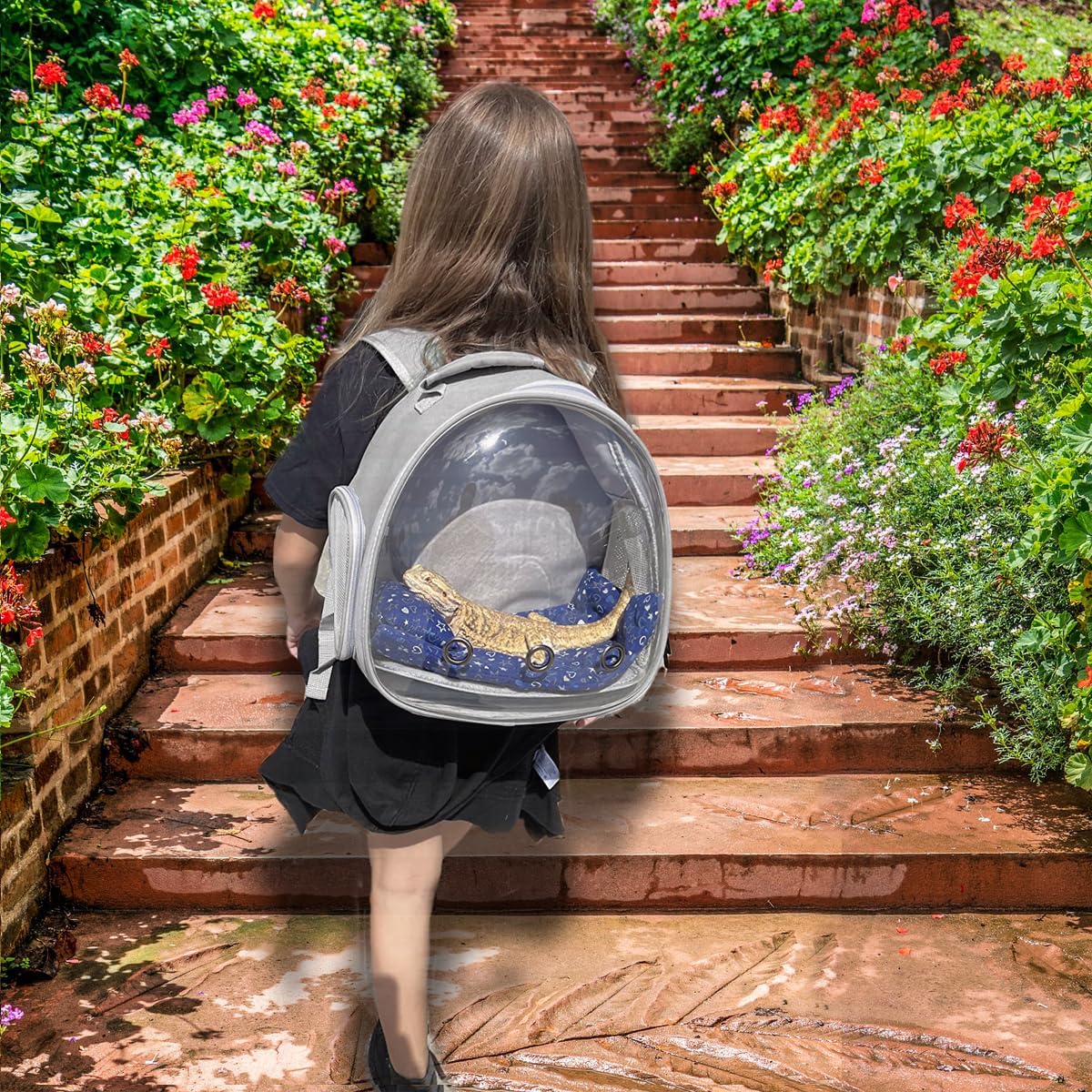 Lizard Travel Backpack Carrier,Small Animal Portable Backpack Carrier,Space Capsule Clear Bubble Window Travel Backpack for Bearded Dragon,Guinea Pig,Rabbit, Airline Approved (Grey, Backpack)