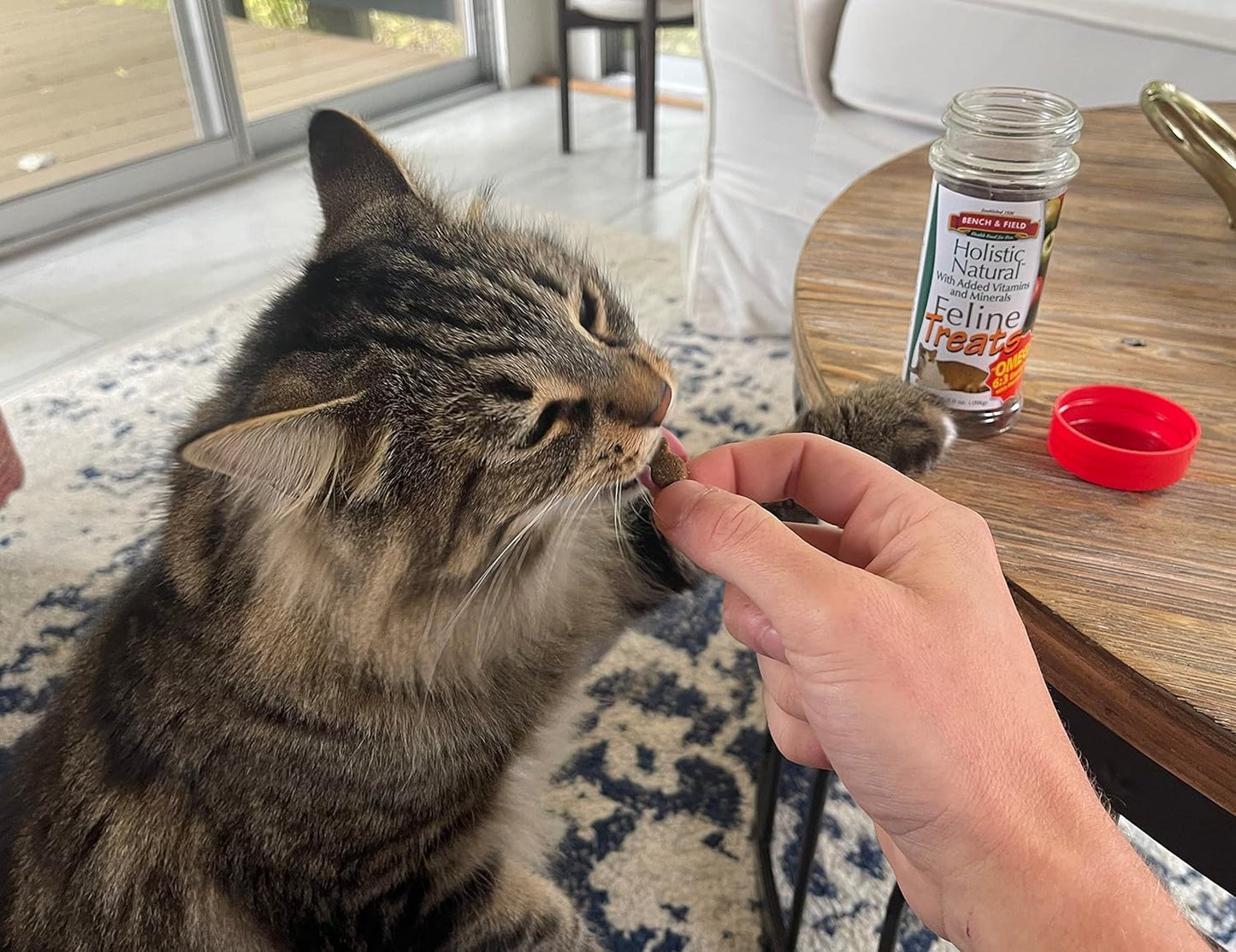 Bench & Field Holistic Natural Healthy Kitty Cat Treats | Crunchy Fish-Shaped Bites | Delicious Seafood Flavored Snack, 3-Ounce Bottle