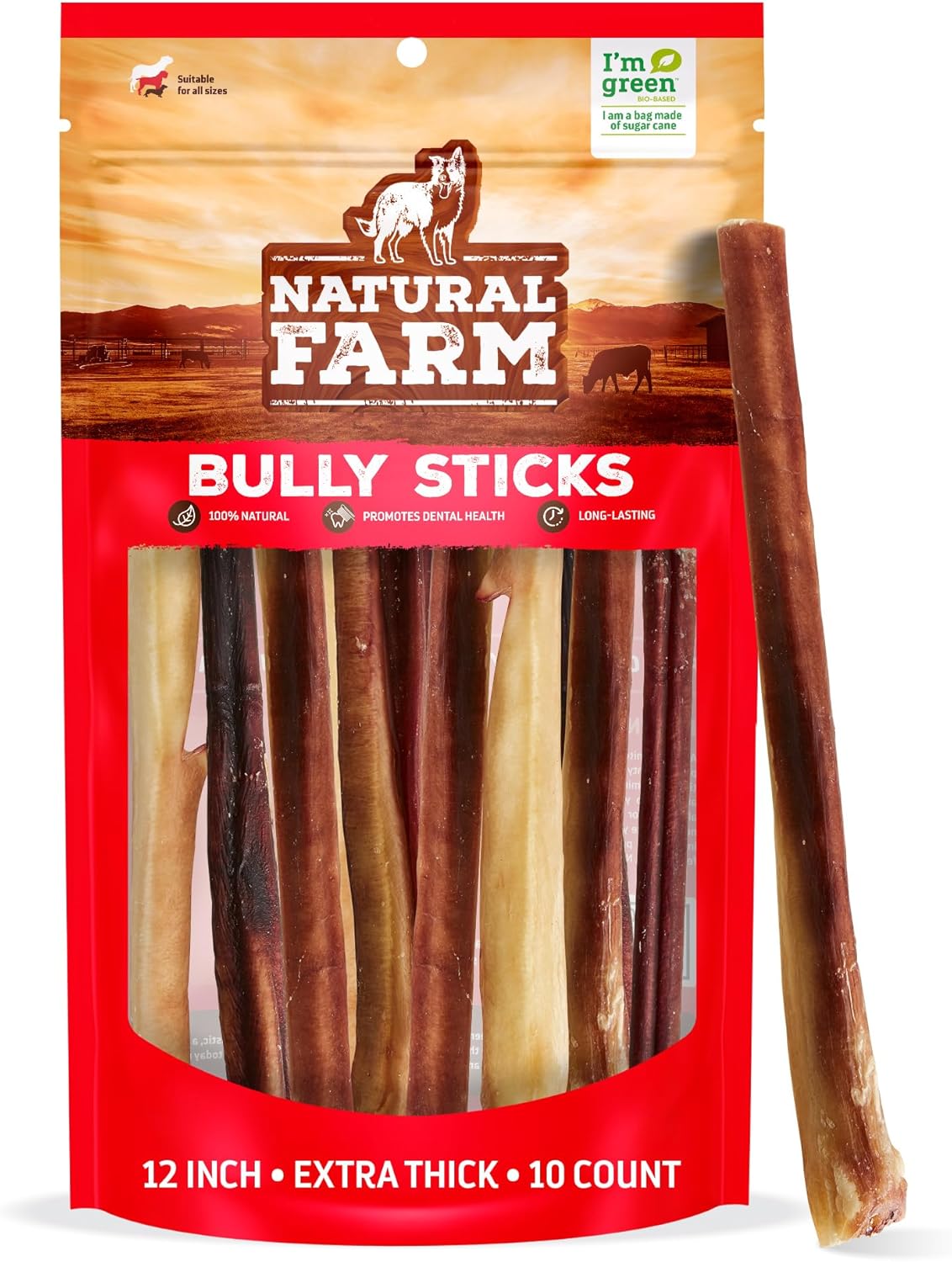 Natural Farm Odor-Free Thick Bully Sticks (12”, 10-Pack) All-Natural Long-Lasting Dog Chews, 100% Beef Pizzle, Grass-Fed, Grain-Free, Protein for Muscle Development & Energy, Perfect for Large Dogs
