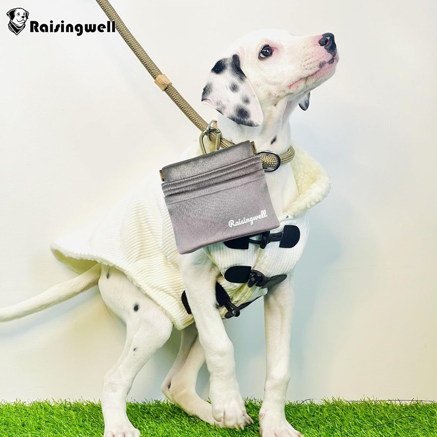 Dog Treat Pouch, Pocket Sized Pet Training Pouch, Hand Free Bronze Dog Walking Bag with Carabiner, Self-Closing Pet Feed Snack Reward, for Puppy Travel or Outdoor Use, NanoPTC