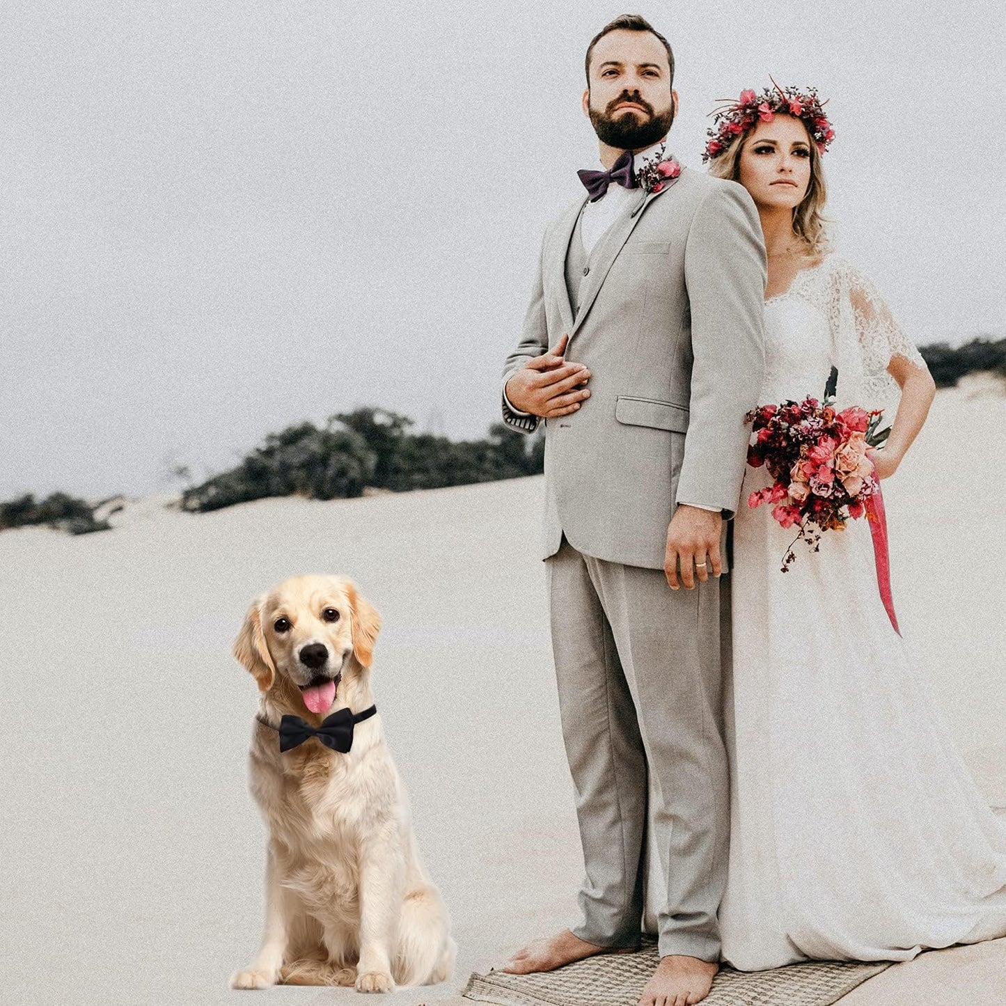 Black Dog Bow Tie, KOOLMOX Adjustable Bow Tie Dog Collar for Medium and Large Dogs Cats Pets Wedding Birthday Graduation Holiday Grooming Cosutmes