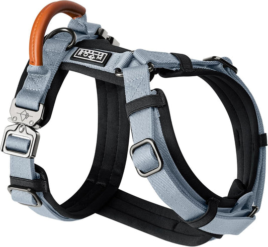 MADE TO ROAM Premium Explorer Harness - Y-Shaped Dog Harness with Adjustable Durable Nylon, Soft Padding, Metal Buckles and Leather Handle for Small, Medium, Large Dogs (Virginia Mountains, Size 5)