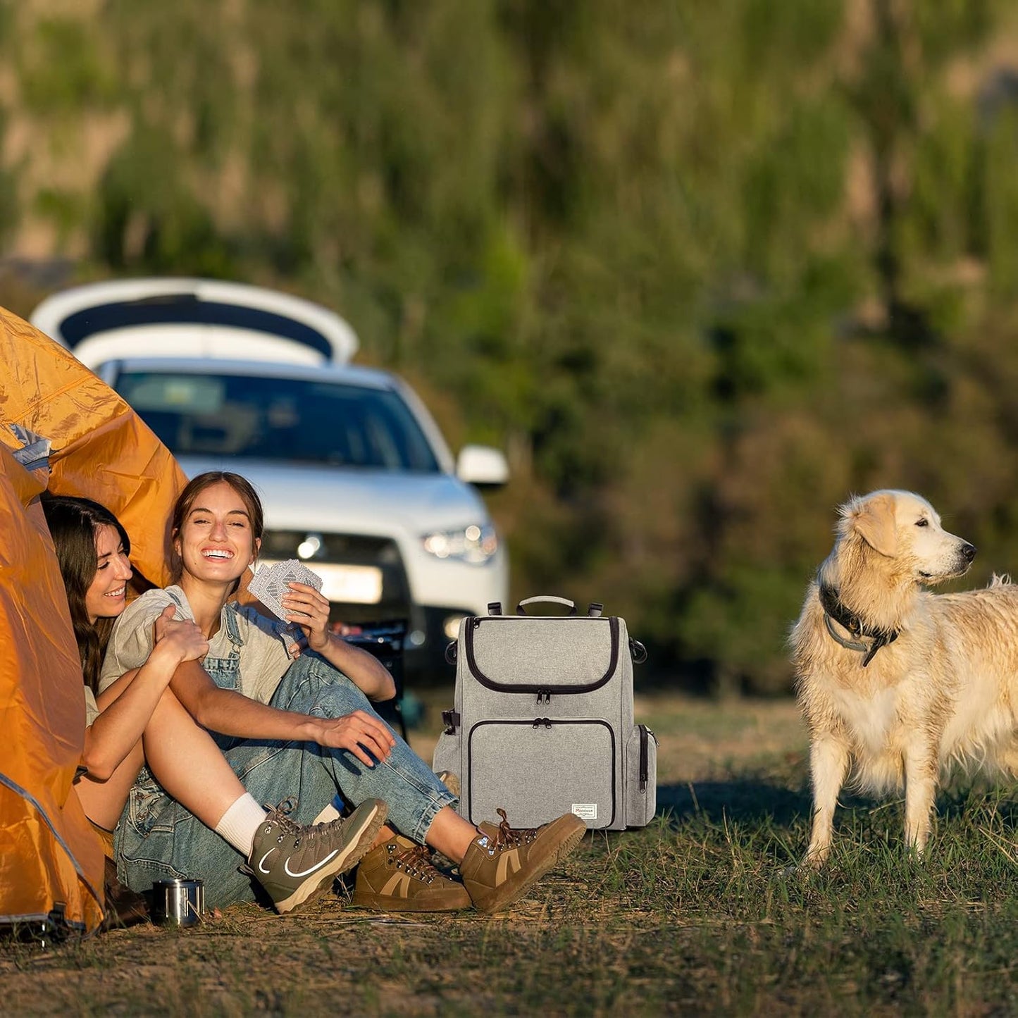 Modoker Dog Travel Bag Backpack, Airline Approved Pet Accessories Organizer for Dog and Cat with Shoulder Strap, 2 Dog Food Storage Containers, 2 Collapsible Dog Bowls,1 Pet Mat, Grey