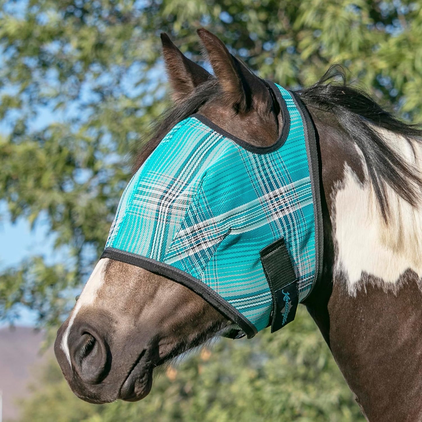 Kensington Fly Mask Web Trim Protects Horses Face and Eyes from Bites and Sun Rays While Allowing Full Visibility Ears and Forelock Able to Come Through The Mask, Medium, Atlantis