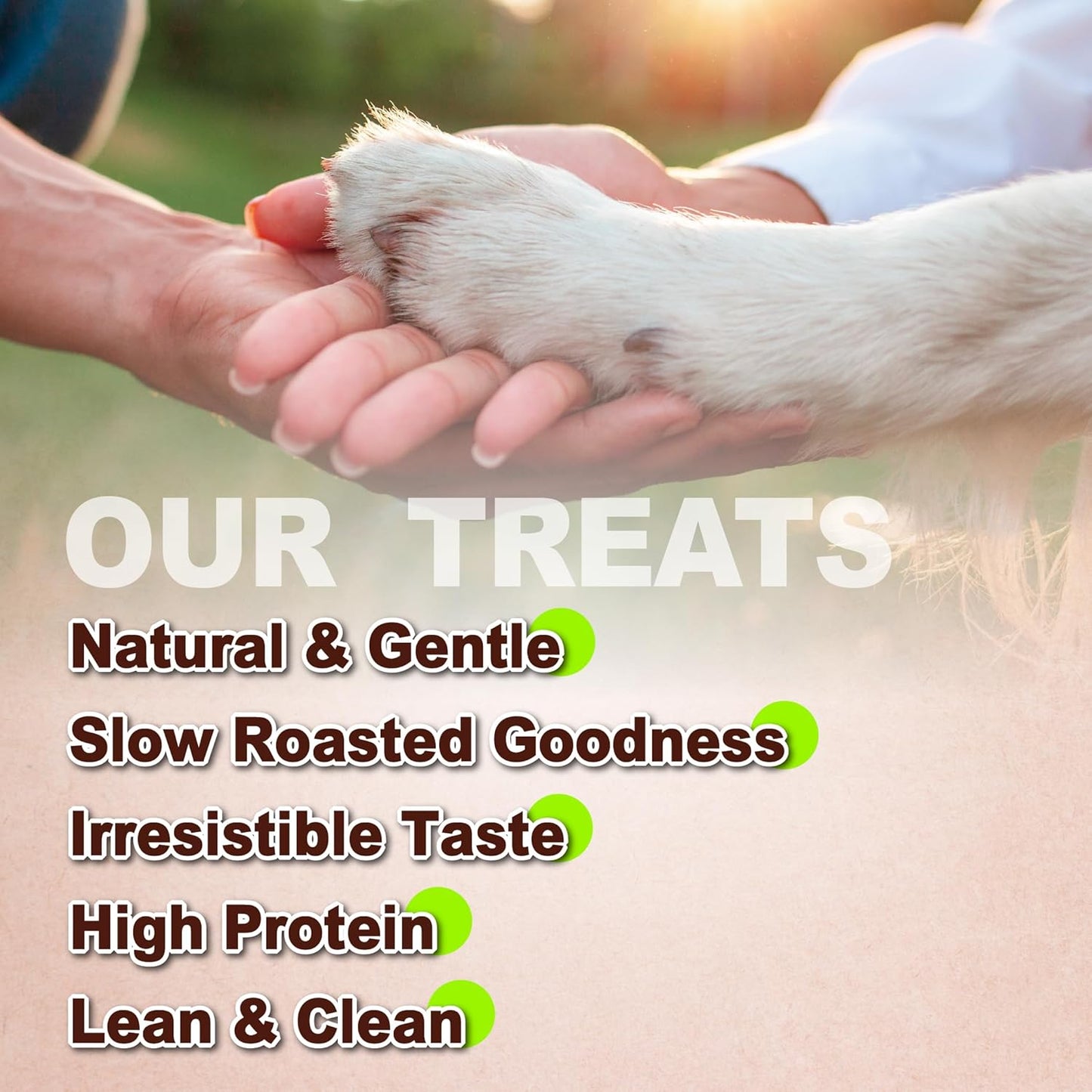 AFreschi Natural Chicken Chips 16 oz, Dog Treats, All Natural, Grain-Free, High-Protein, Low Fat, Healthy & Easily Digestible