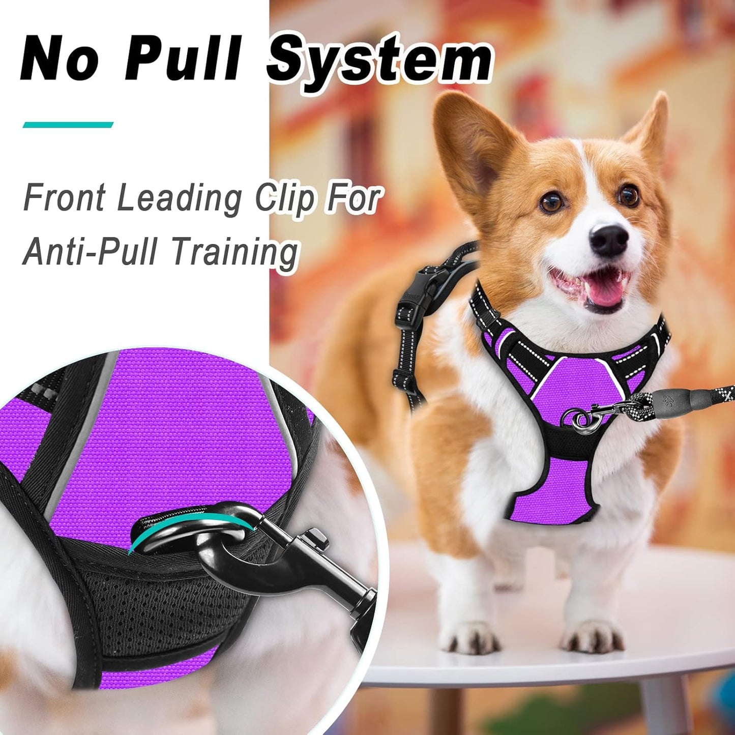 BARKBAY No Pull Dog Harness Large Step in Reflective Dog Harness with Front Clip and Easy Control Handle for Walking Training Running(Purple,S)