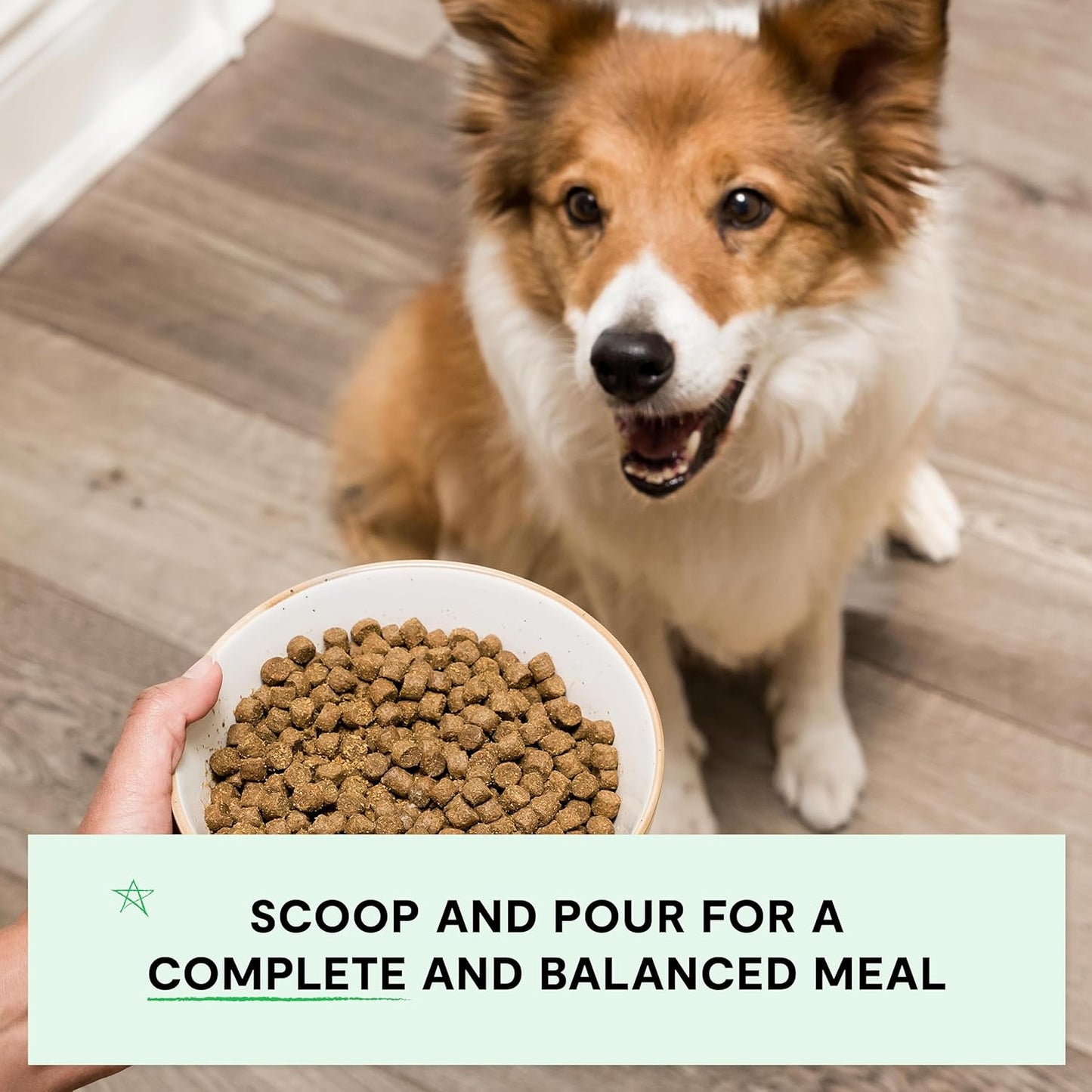 Open Farm, Grain-Free Dry Dog Food, Complete & Balanced Kibble, Sustainably & Ethically Sourced Ingredients, Non-GMO Veggies & Superfoods Support Overall Health, New Zealand Venison Recipe, 11lb Bag