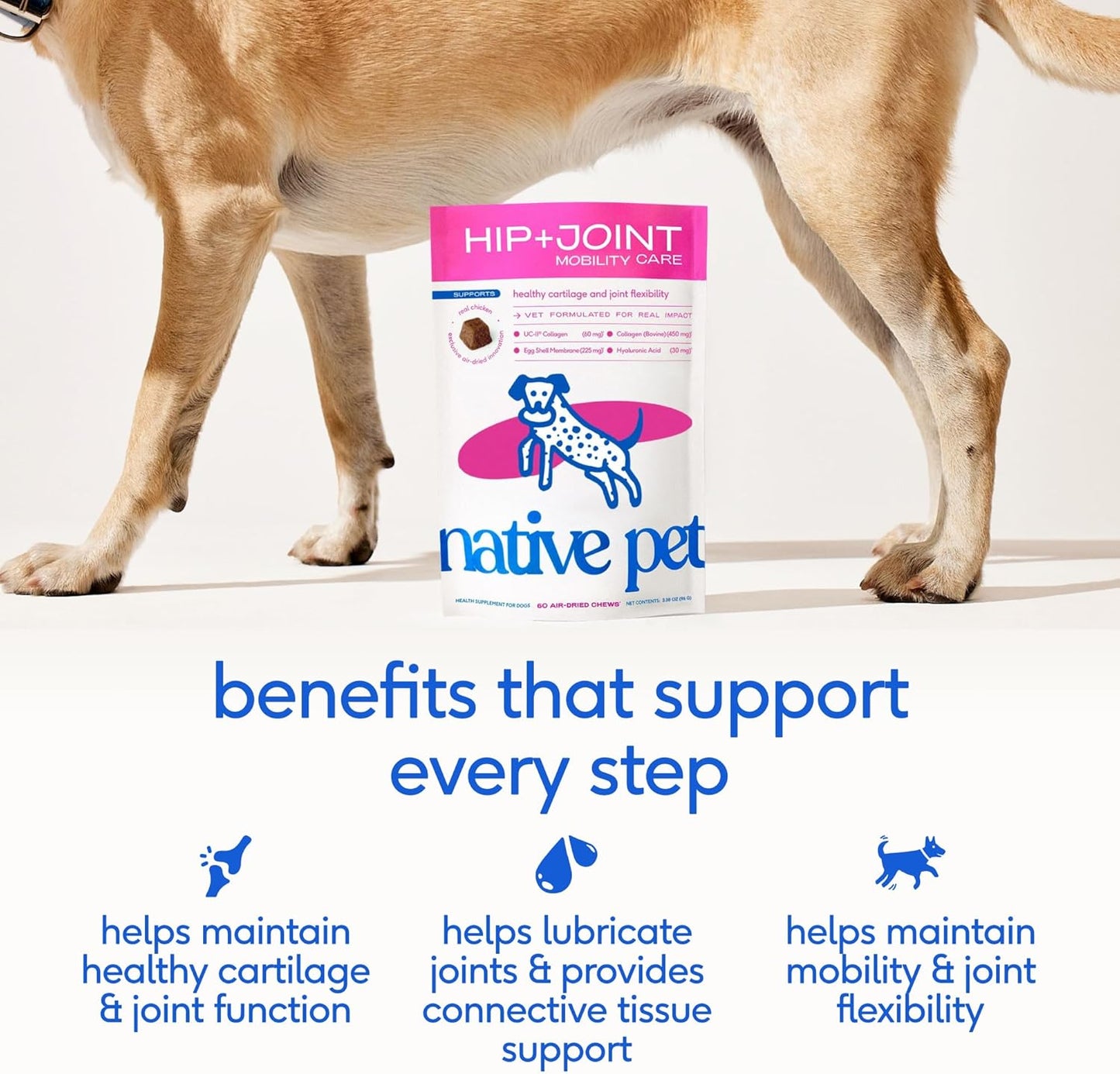 Native Pet Hip & Joint Supplement for Dogs - Advanced Dog Joint & Arthritis Supplement - Helps Maintain Healthy Cartilage, Joint Flexibility, Lubrication, & Function - with ESM & Collagen - 60 Chews