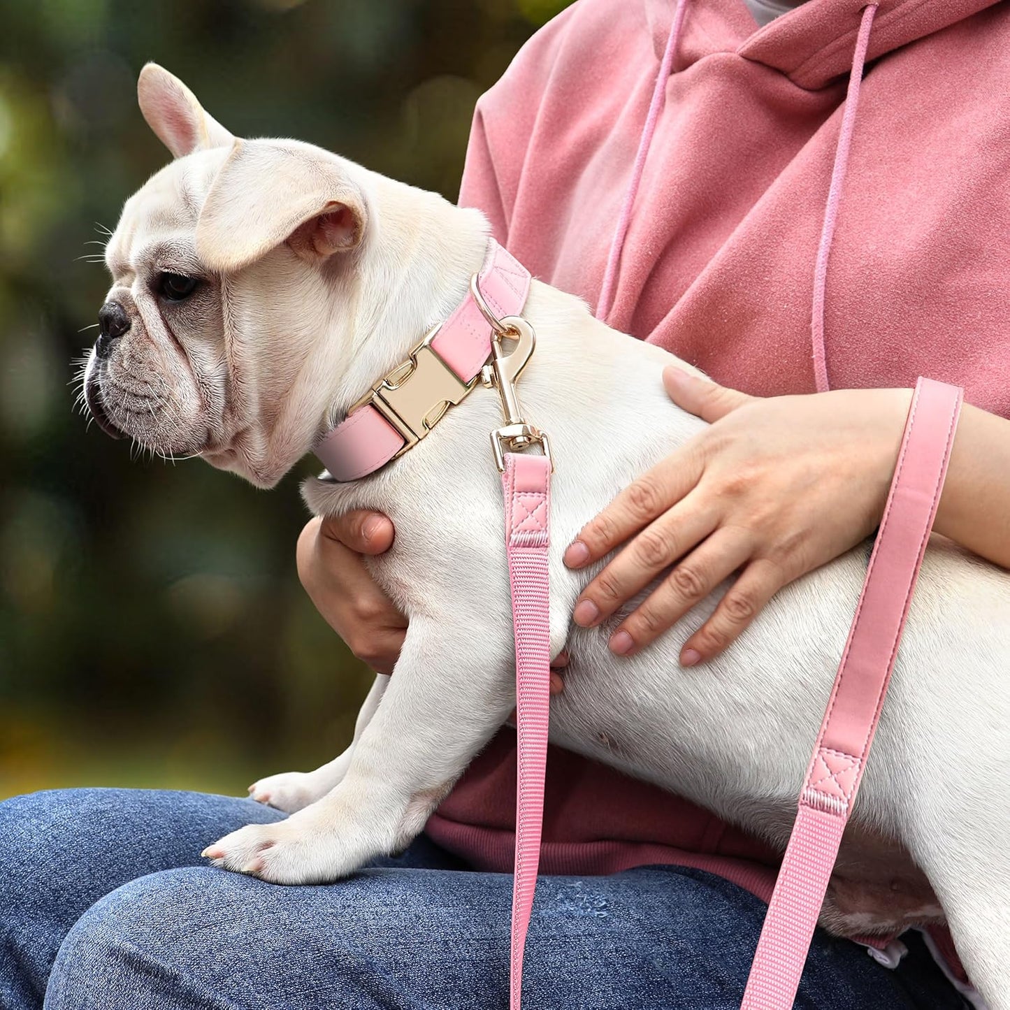PET ARTIST Soft PU Leather Dog Collar, Bright & Classic Pink Dog Collar with Quick Release Rose Metal Buckle, Adjustable Nylon Padded Durable Pet Collars for Small Dogs Girl, Neck Fit 9-14"