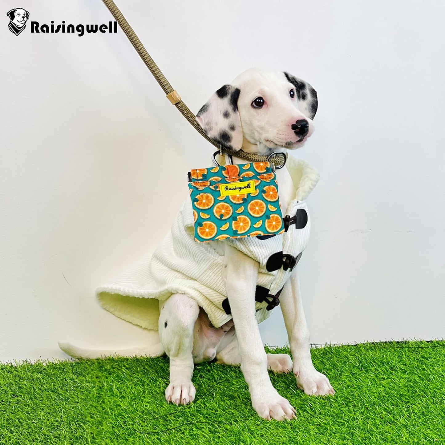 Dog Treat Pouch,Cotton Pocket Sized Training Holder, Hand Free Walking Funny Bag with Carabiner, Self-Closing Pet Feed Snack Reward, Behavior Aids for Puppy Travel or Outdoor Use（Fruit Orange）