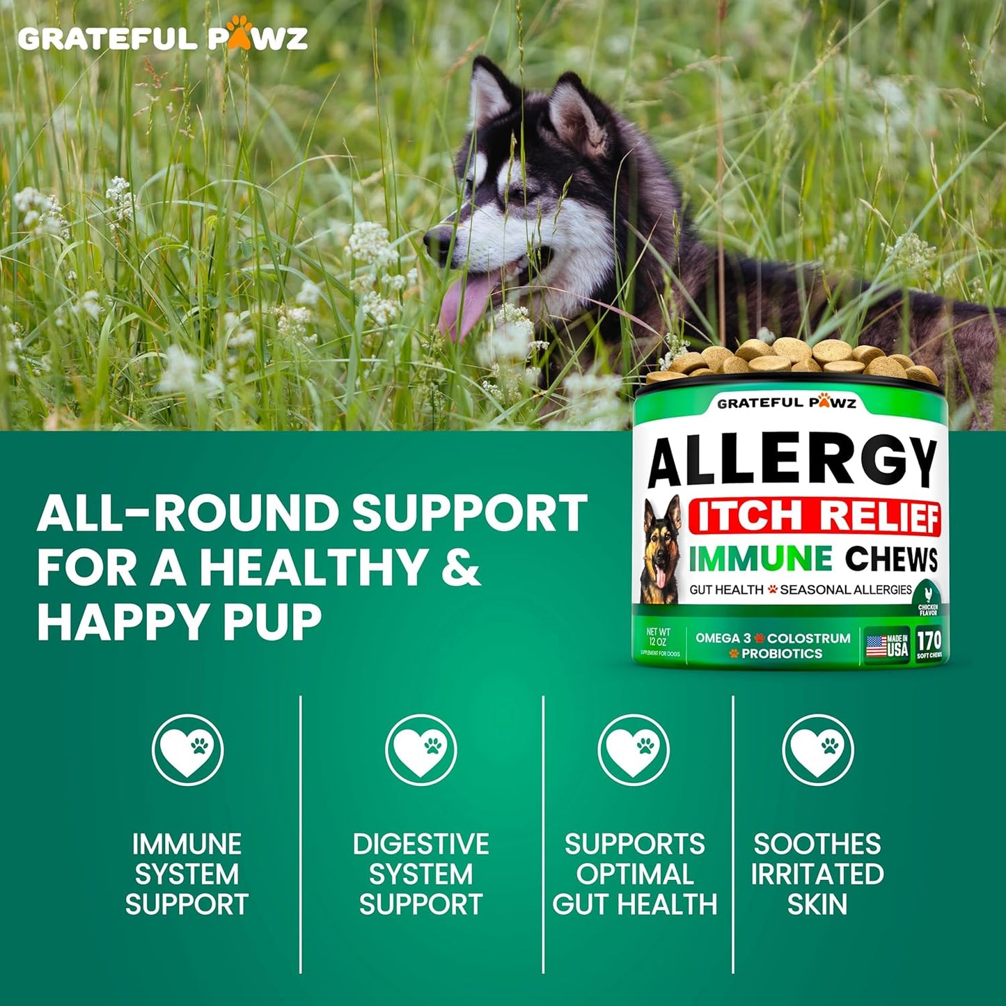 Dog Allergy Relief Chews - Dog Itching Skin Relief Treatment - 170 Chews - Anti-Itch, Hot Spots, Paw Licking - Immune Health - Omega 3 Fish Oil - Dry Itchy Skin and Coat Supplement - Made in USA