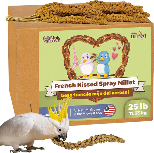 Birds LOVE French Kissed Spray Millet for Birds - Parakeets, Cockatiels, Lovebirds, Finches, Budgies, Canaries, Cockatoos - Natural & Healthy Bird Millet - Parakeet Food & Treats for all Parrots 25lbs