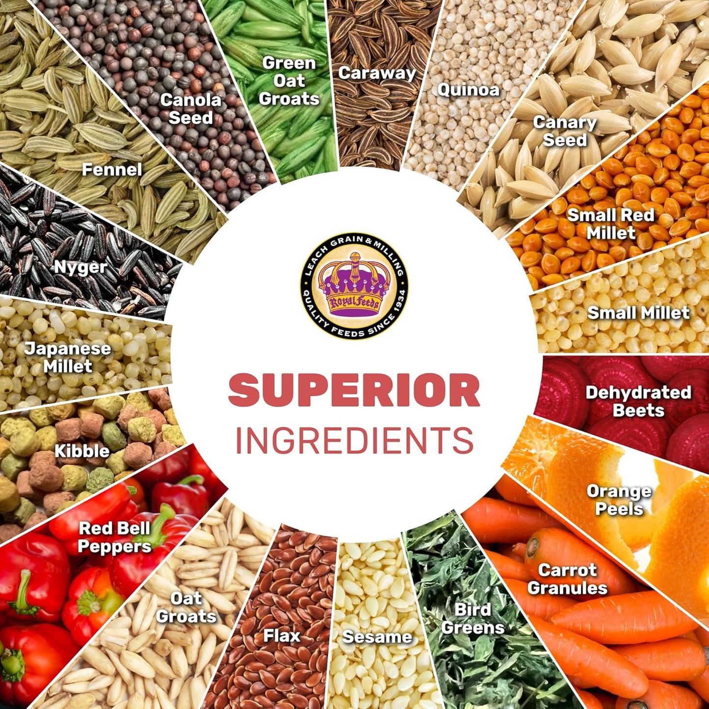 LEACH GRAIN & MILLING CO. Finch Cuisine 4 Lbs, Finch Food, Nutrient-Rich Blend Bird Seed, Birdseed for Finches and Small Birds, Support Daily Energy, Growth & Healthy Balanced Diet, No Mess Bird Seed