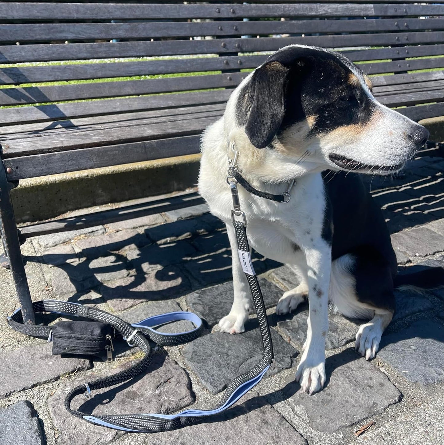 Dog Poop Bag Holder for Leashes - Dog Poop Bag Dispenser and Treat Holder with 2 Waterproof Pouches for Pet Waste Bags and Walking Accessories + 1 Free Roll (Purple)