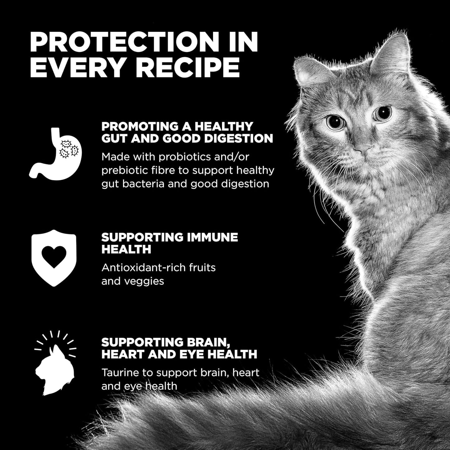 Go! Solutions Skin + Coat Care, Dry Cat Food, Chicken Recipe with Grains, 16 lb Bag